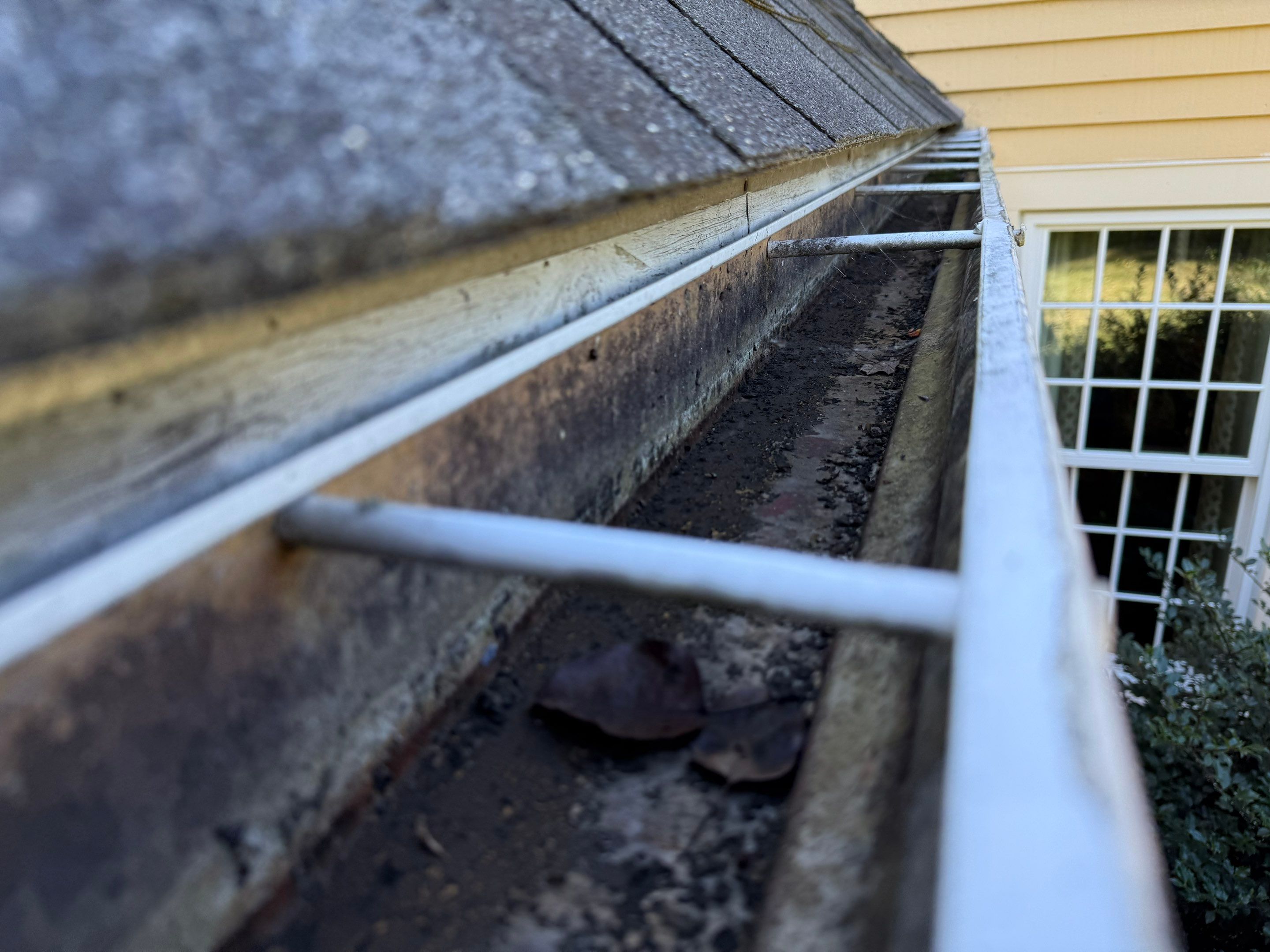Westford Complete Gutter System with New PVC Fascia Upgrade by Mighty Dog Roofing of Greater Middlesex County