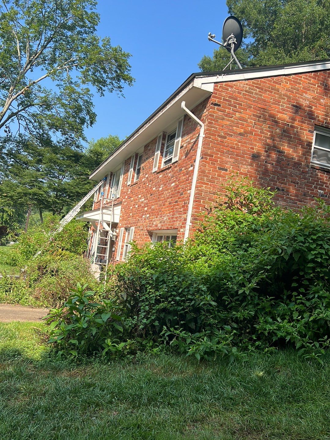 Springfield Tree Damage Restoration: CertainTeed Landmark Designer Shingles in Charcoal Black by RM Banning, Inc.