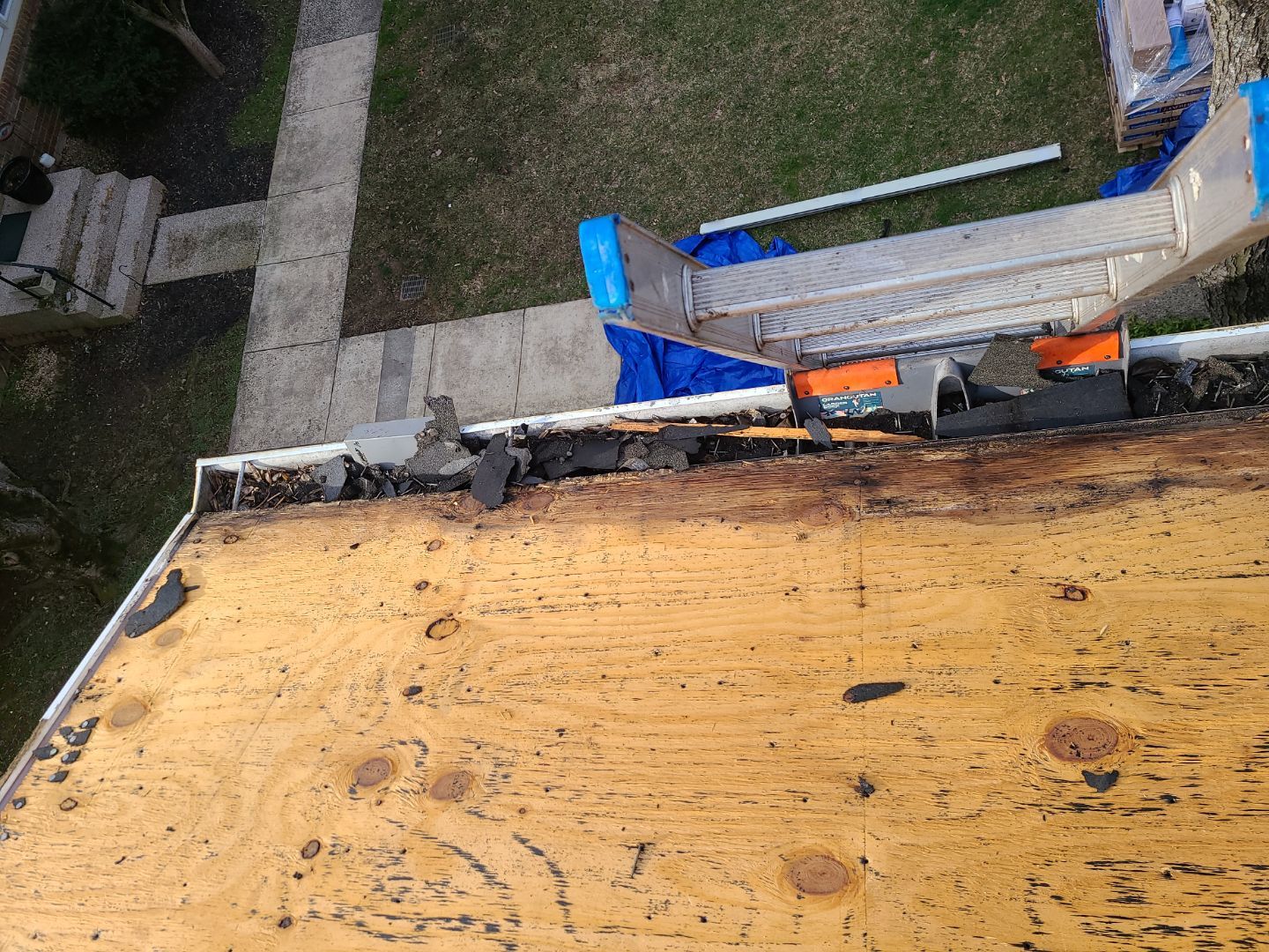 Burke CertainTeed Landmark Pro Roof in Max Def Espresso by RM Banning, Inc.