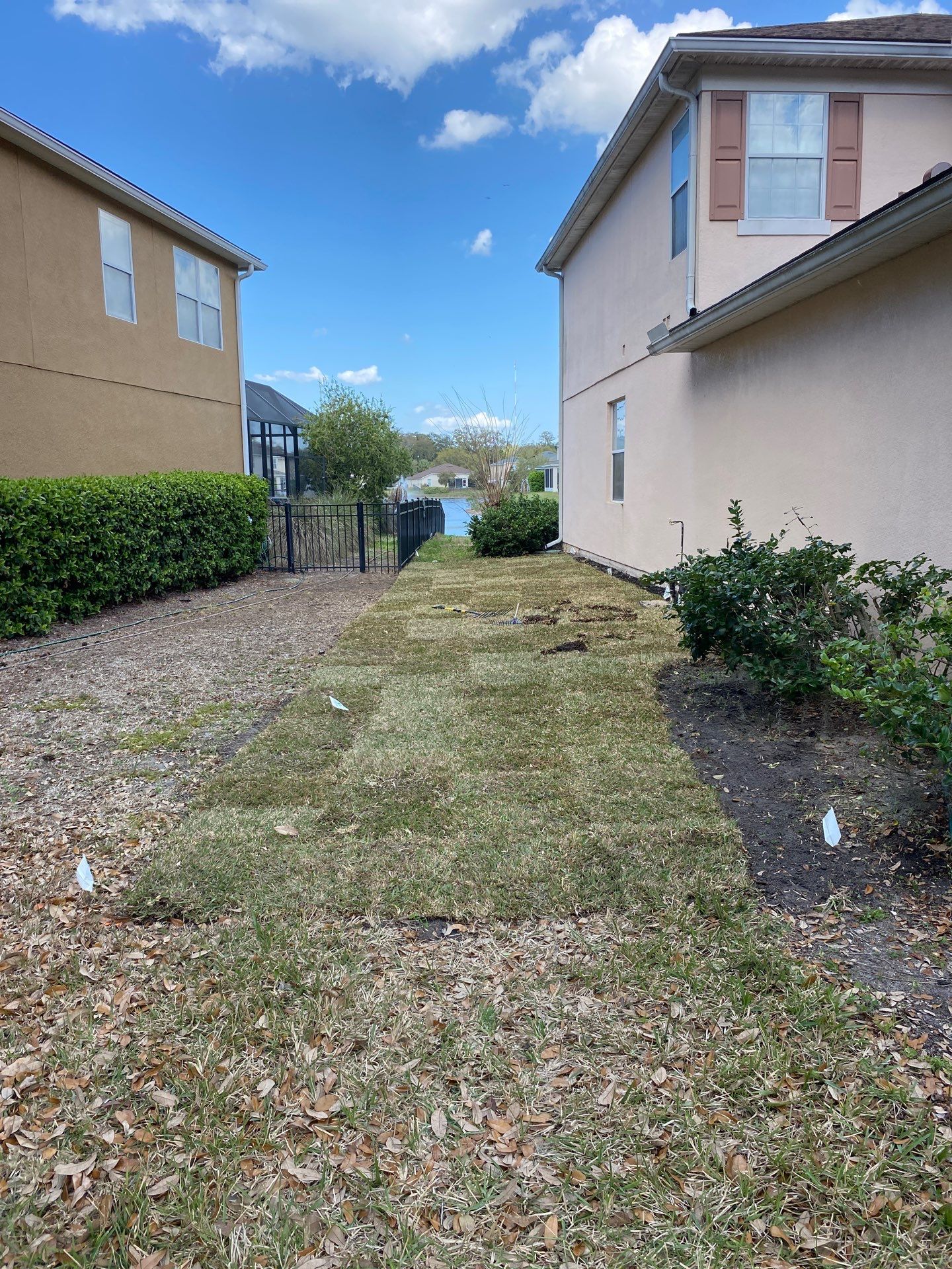 Residential | Sod Install by ProGreen Services