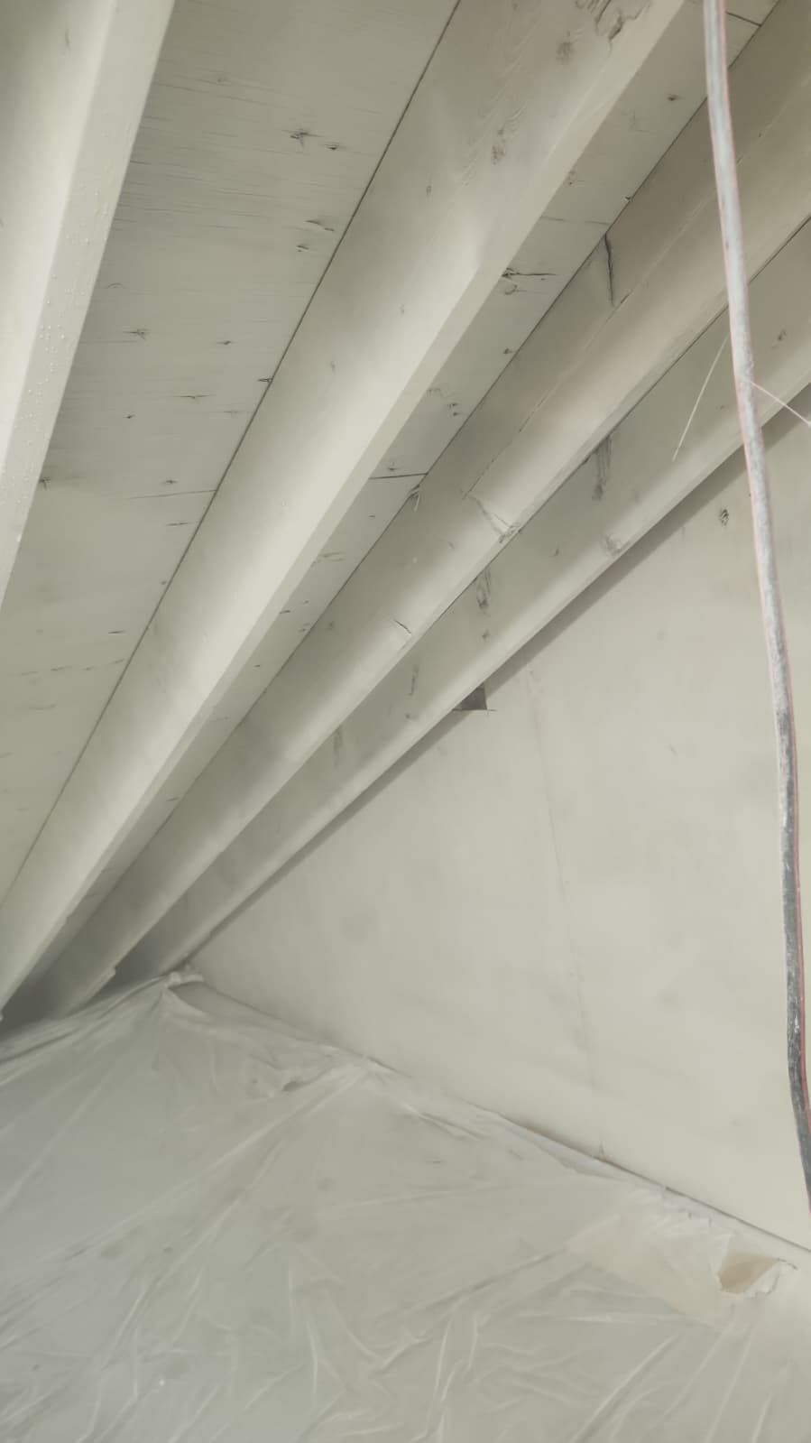 Attic Mold Remediation in Montville, NJ by Pure Service Pro, LLC