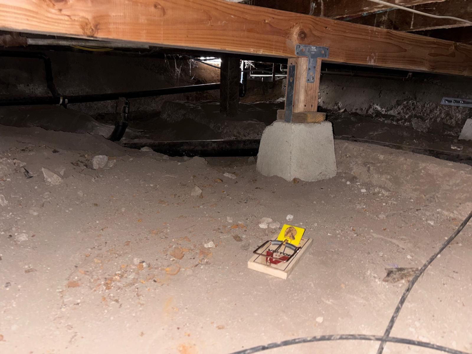 Project in Santa Ana by Insulation Labs