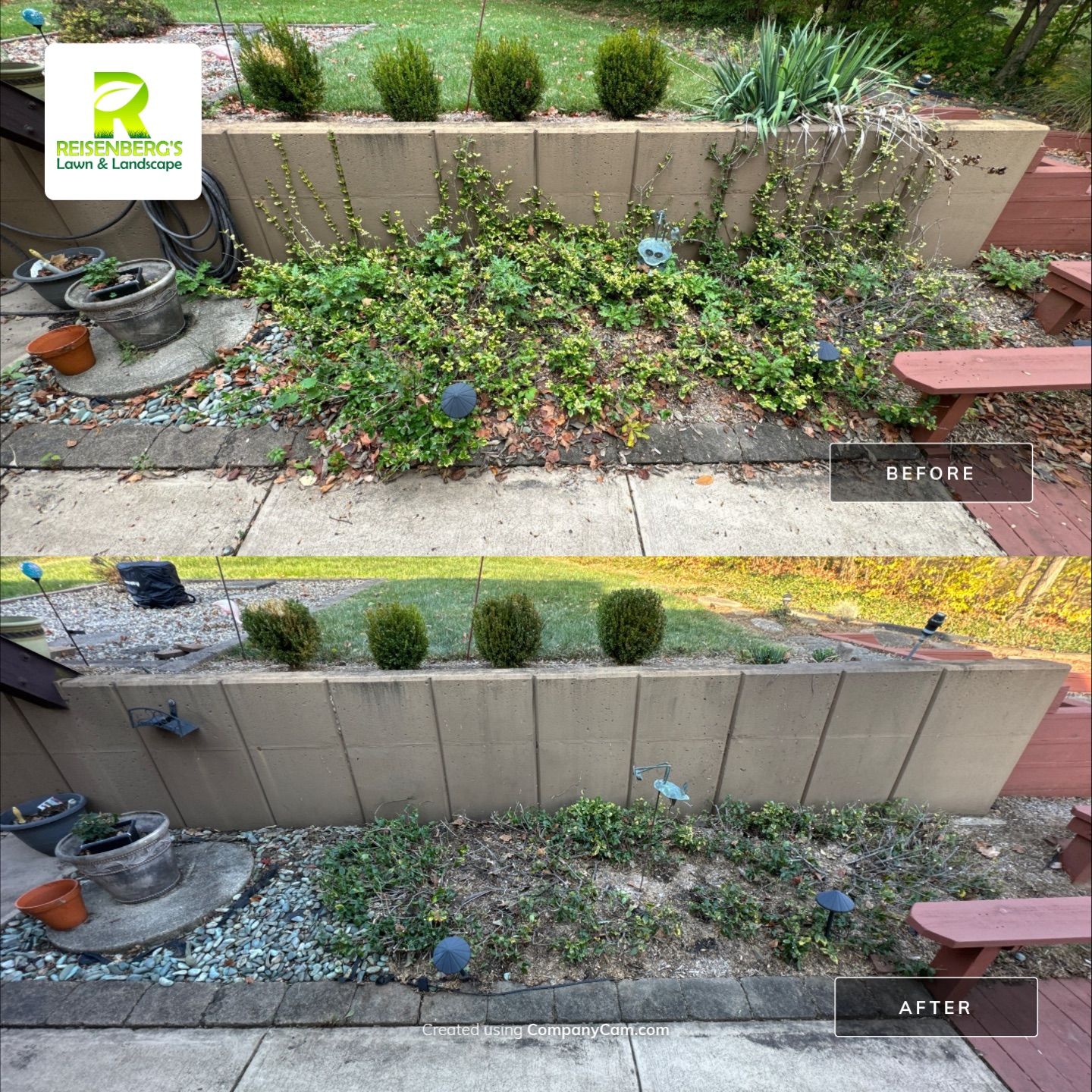Fall Clean Up & Leaf Removal  by Reisenberg’s Lawn & Landscape, LLC