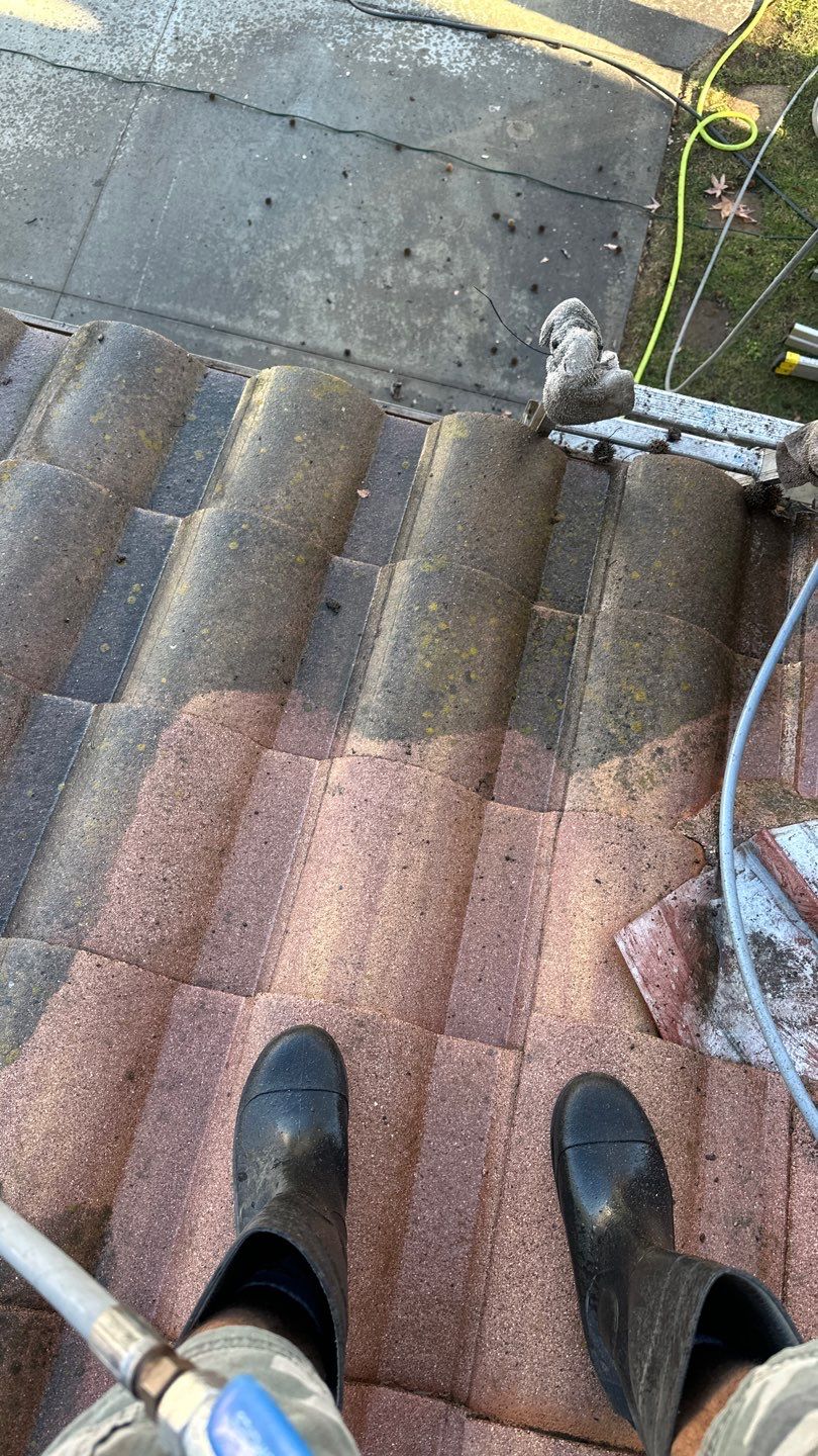 Rancho Santa Margarita Roof Washing by Property Cleaning Experts