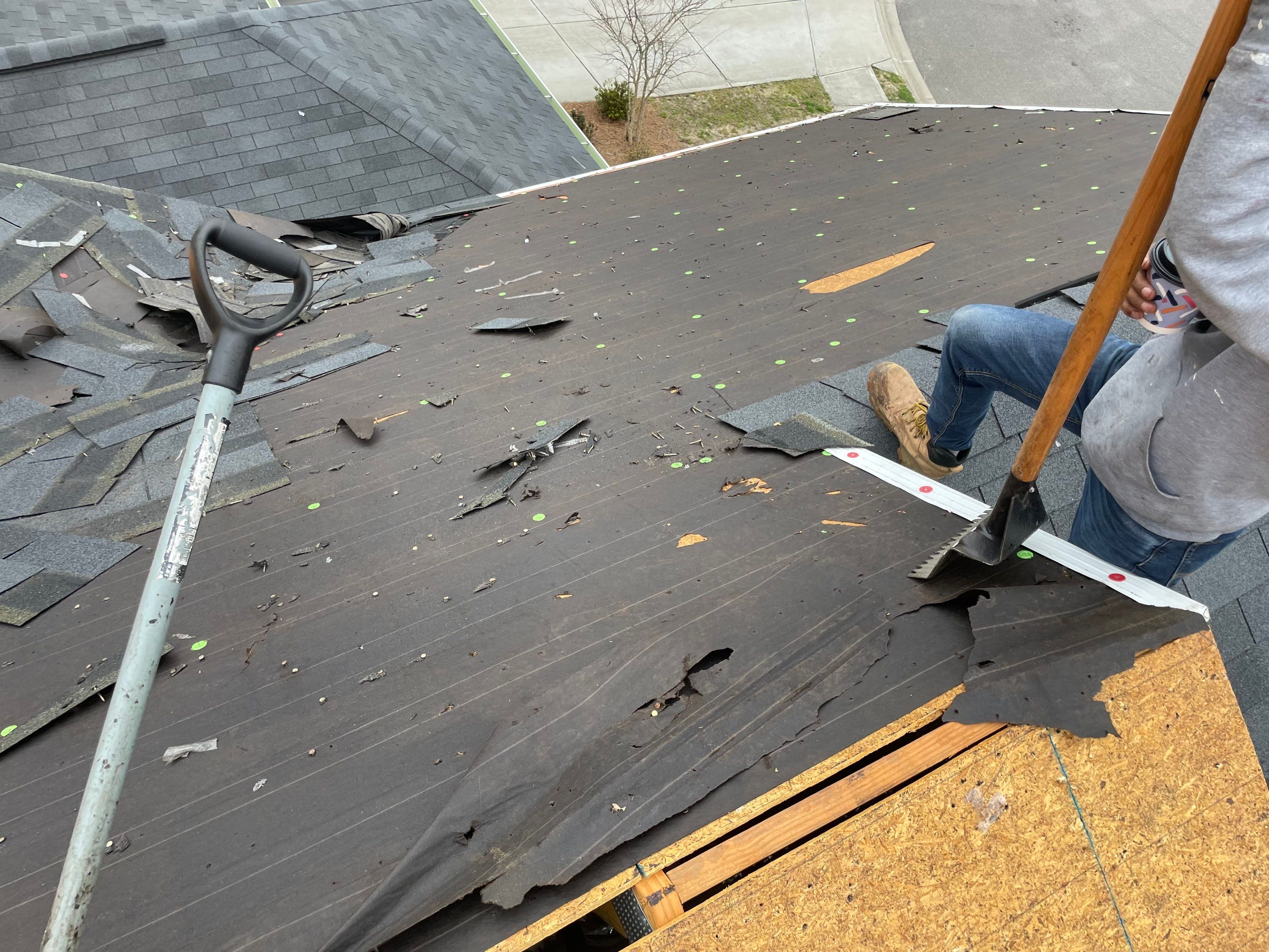 Residential Roofing Installation using Atlas Pinnacle Pristine  by Talya Roofing