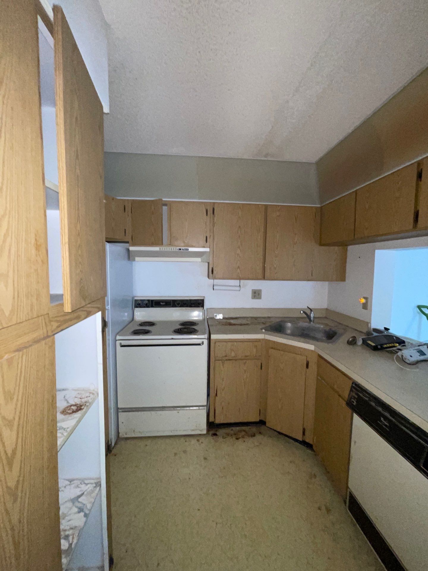 Horder house with Mold and Bacterial Contamination Issues  by Bay Coast Restoration 