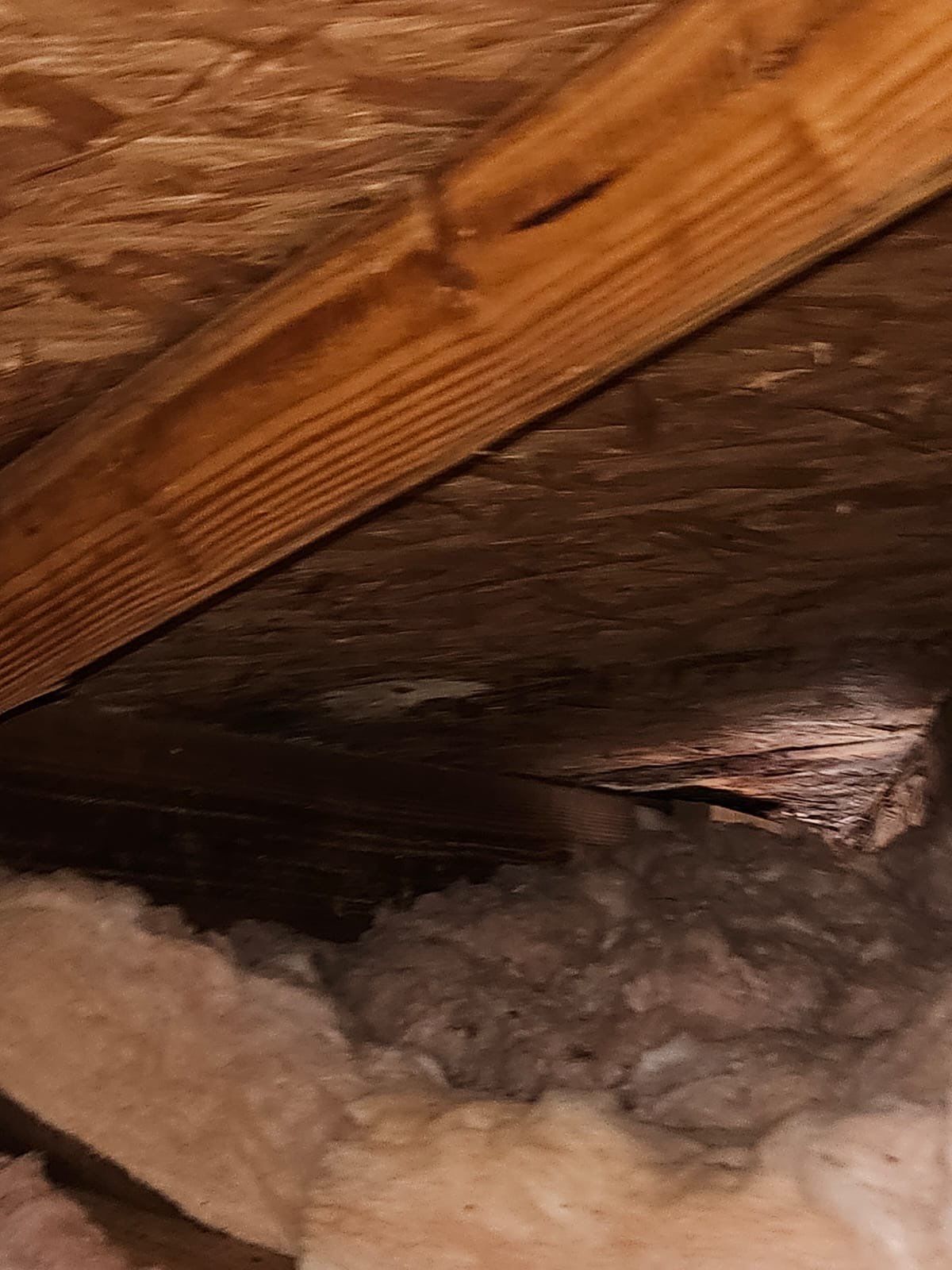 Residential Roofing Inspection  by Four Peaks Roofing