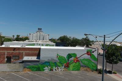 Commercial Roofing Installation using Conklin BenchPly system with PUMA top coat (imbedded fabric system)
