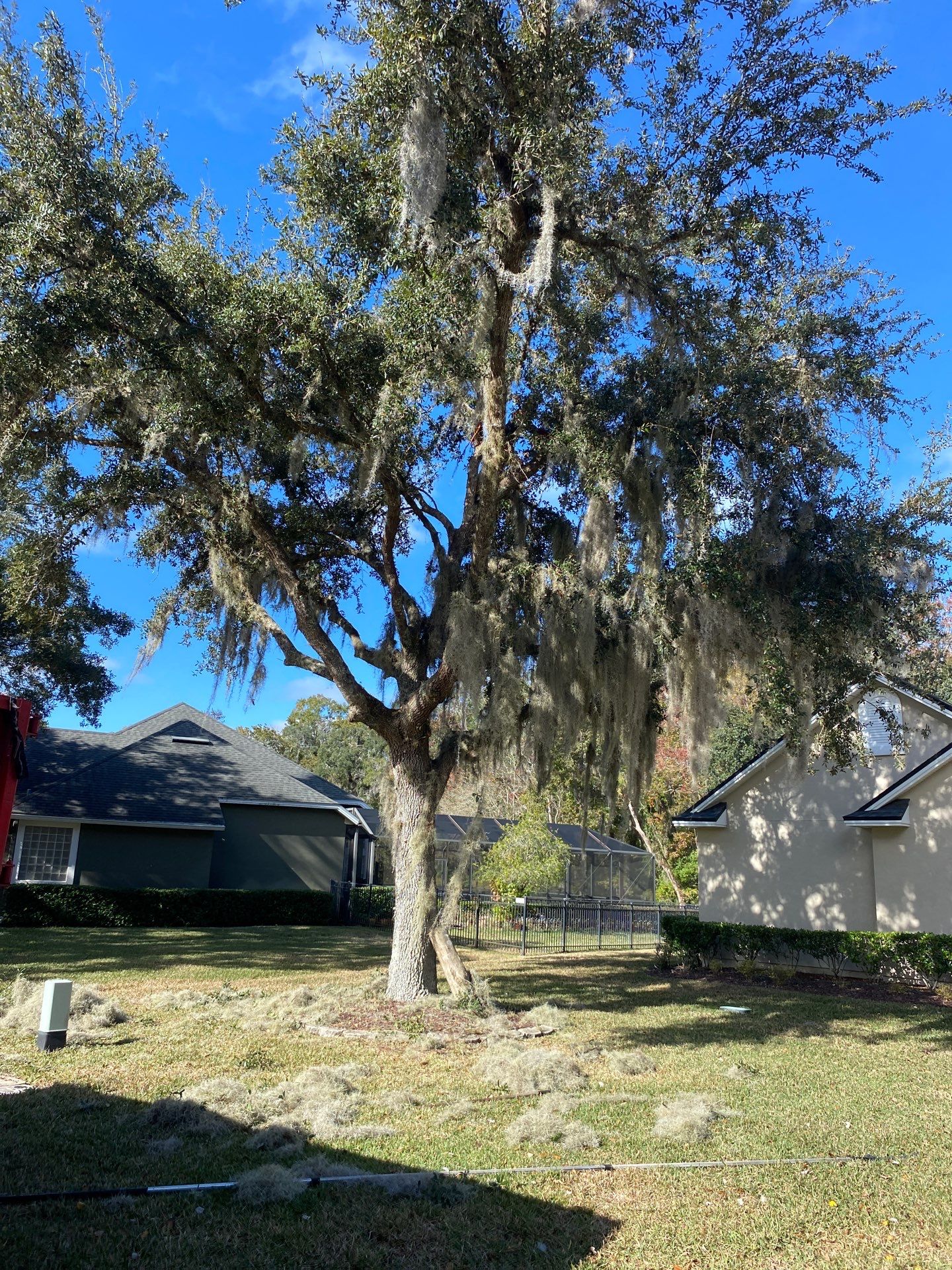 Residential | Tree Service by ProGreen Services