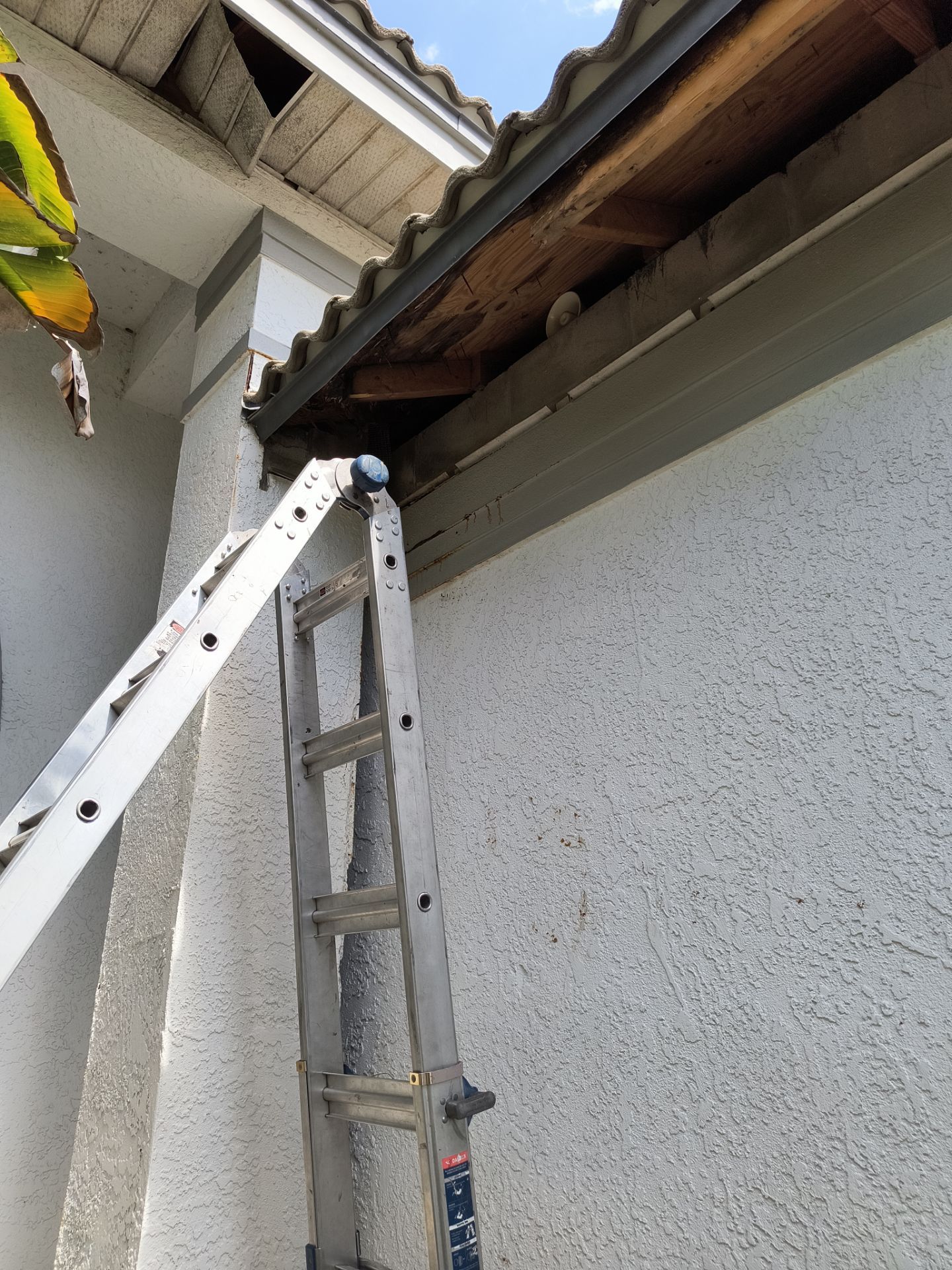Complete Roofline Upgrade with Soffit, Fascia & Gutters Tampa FL by Gutter Professors