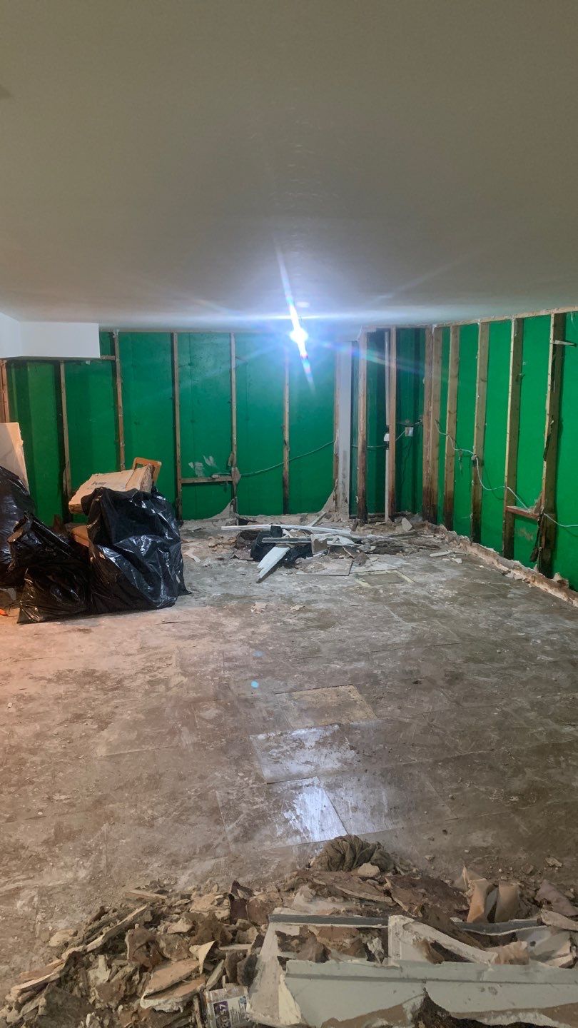 Grossly Contaminated Basement Mold by Chicagoland Water Medics