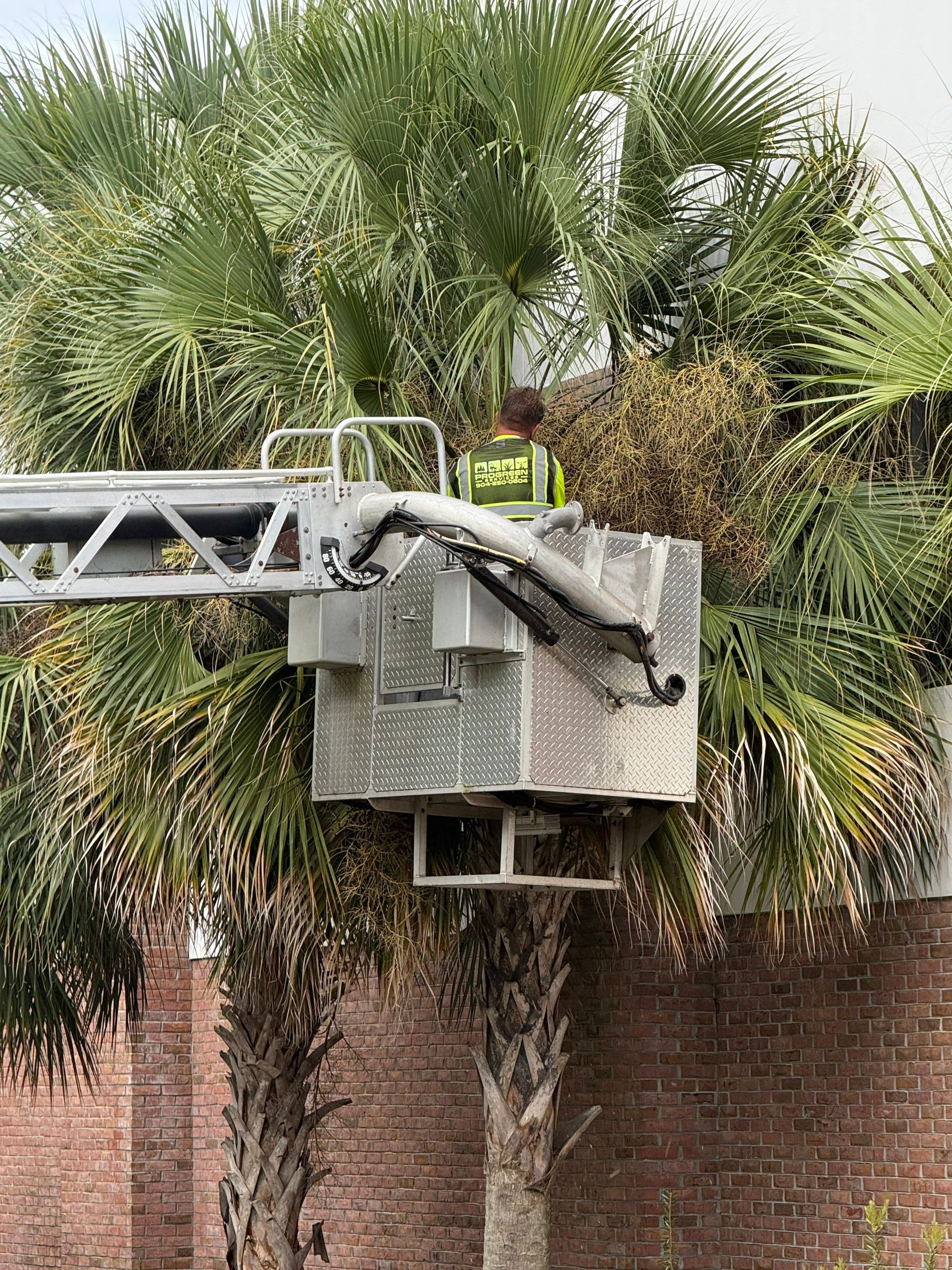 Volunteer Work | Episcopal High School of Jacksonville by ProGreen Services