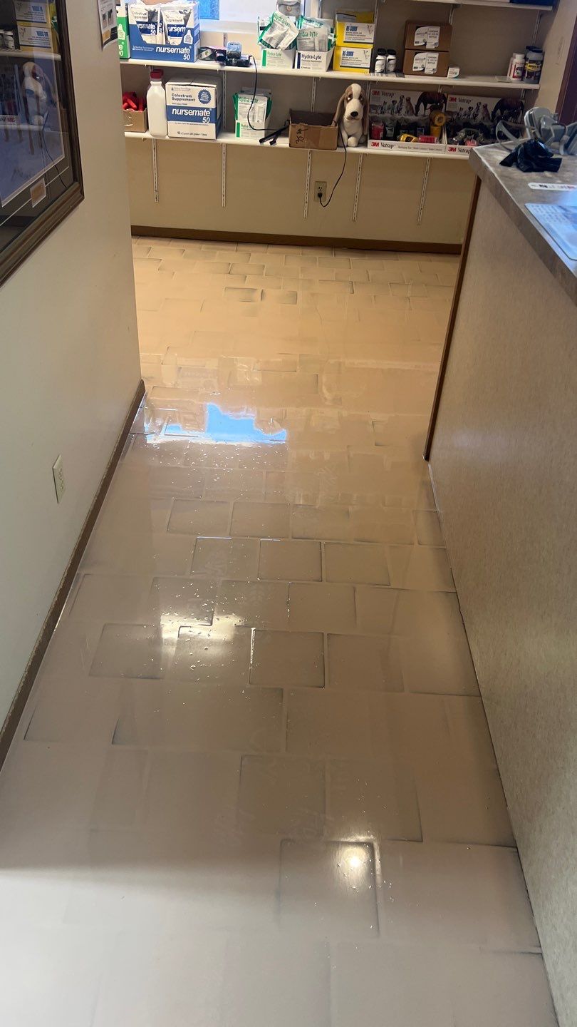 York Animal Clinic by Granite Garage Floors