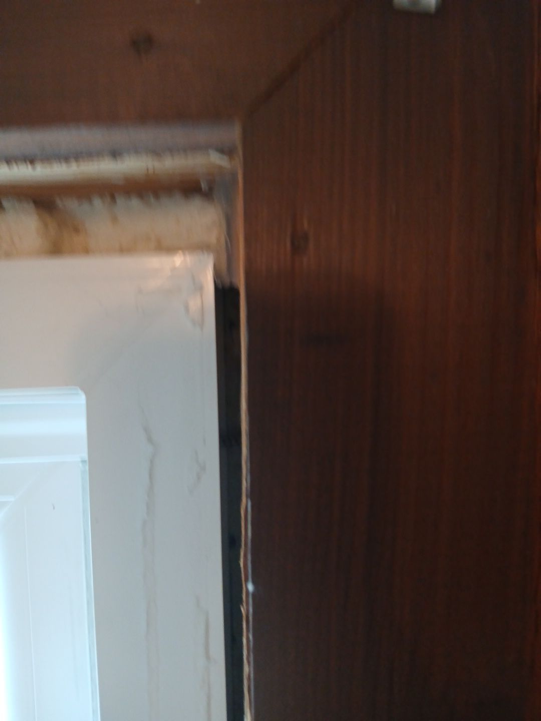 8 Replacement Windows: Columbia City, In 46725 by Window World Of Fort Wayne