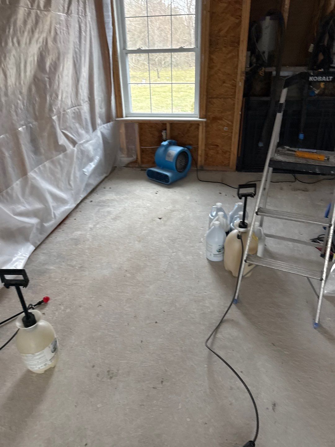 Water Damage& Mold Remediation Project-Dover, DE. by Healthy Home Solutions