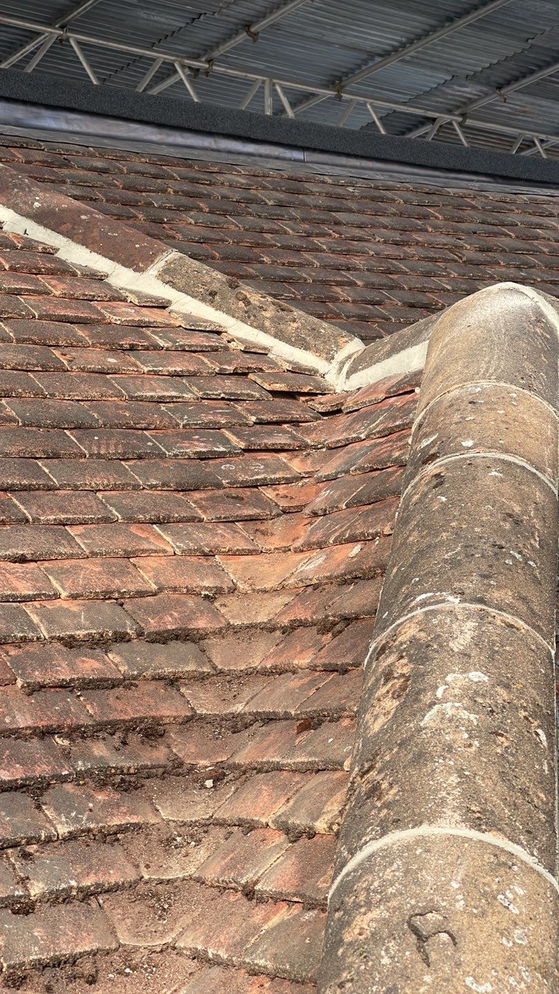 Roof Clean - Moss Removal using Honda 15lpm Low Pressure Washing Machine by Ges Exterior Cleaning ltd