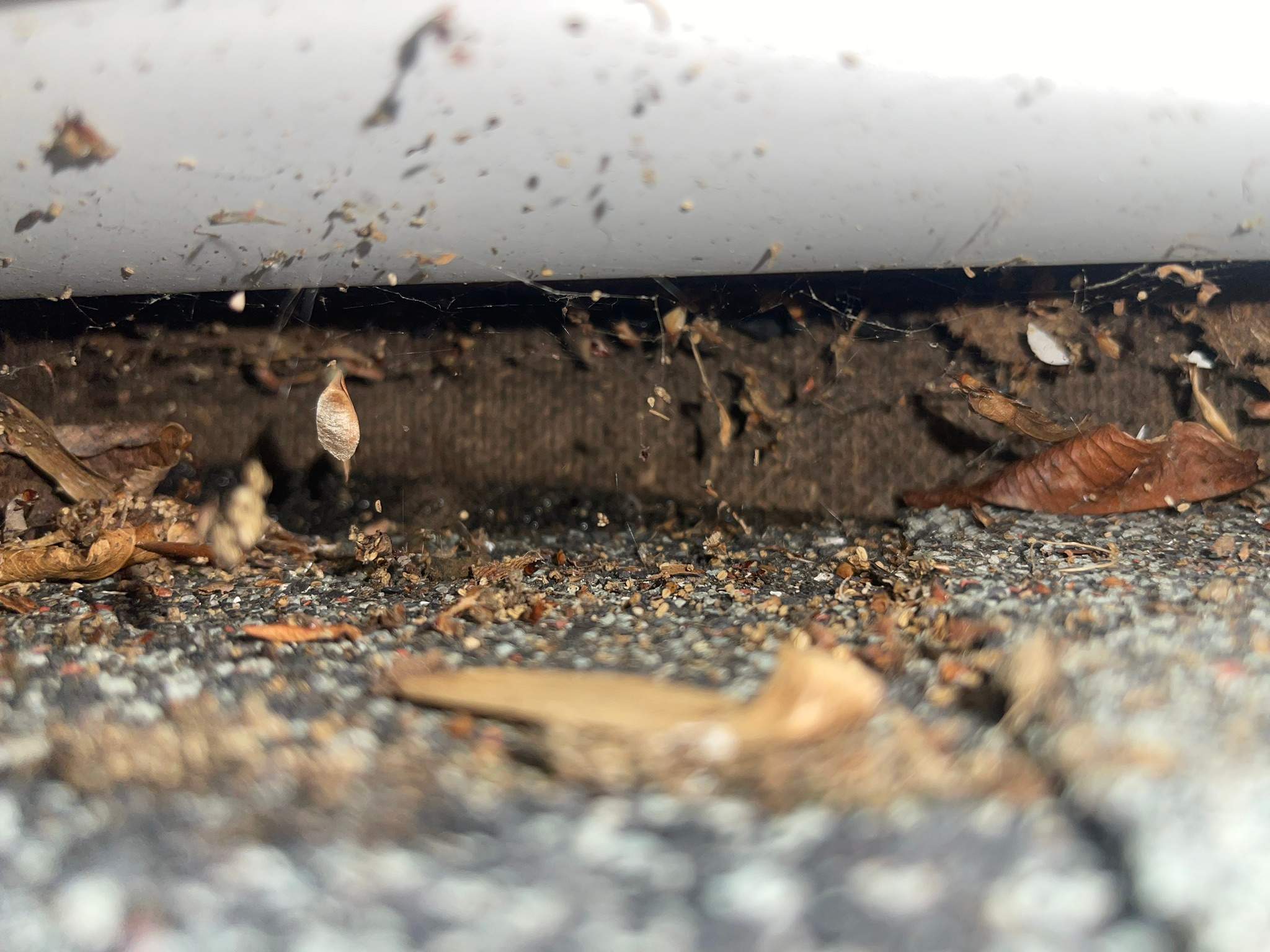 Residential Roofing Installation using Tamko Slatestone gray by A Plus Exterior