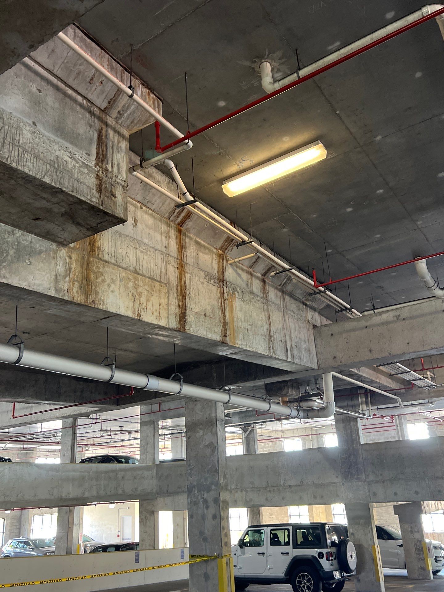 Giampri Corp / THE GOAT CONTRACTOR featured photo.