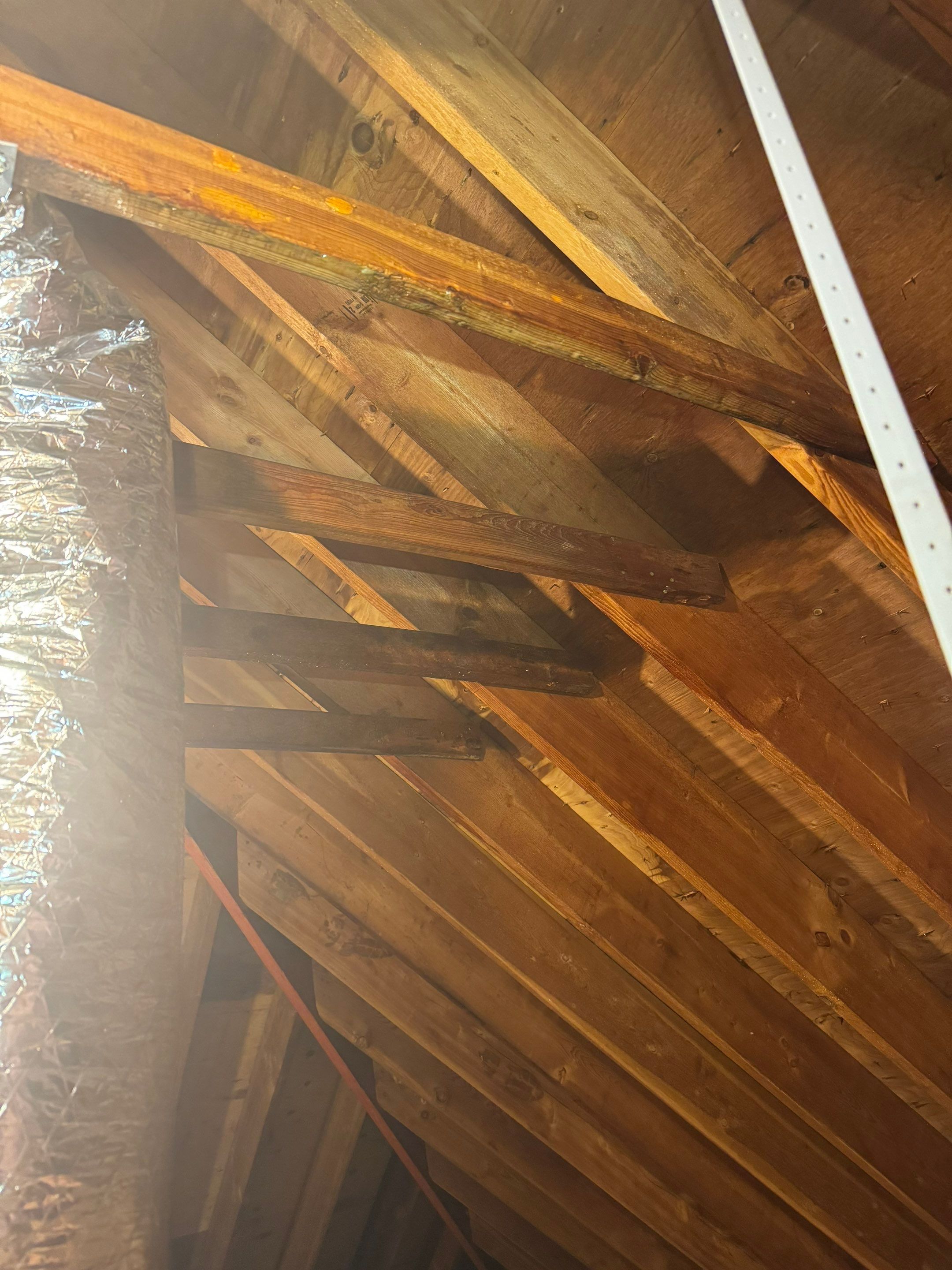 Bathroom Mold Remediation by Home Guarantee, LLC