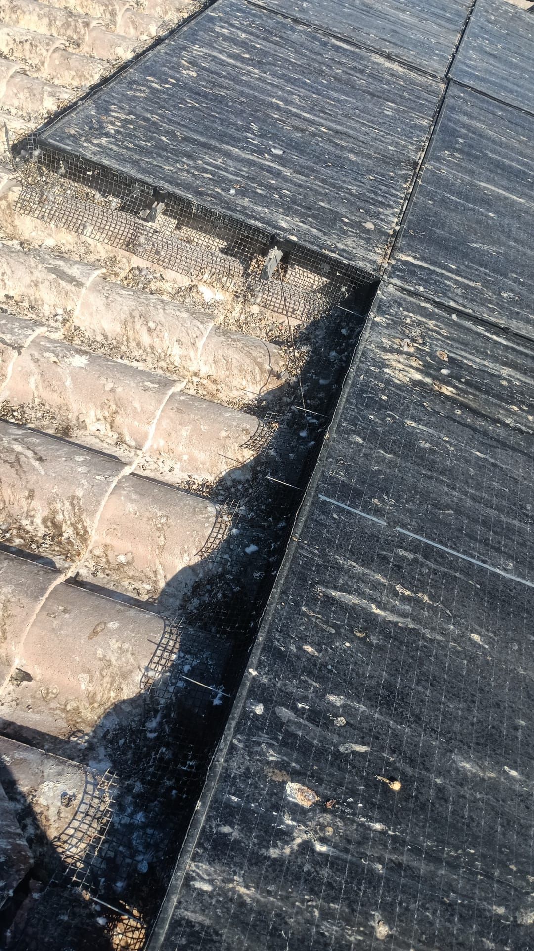 Excessive pigeon problem  by Solar Honest Cleaning 