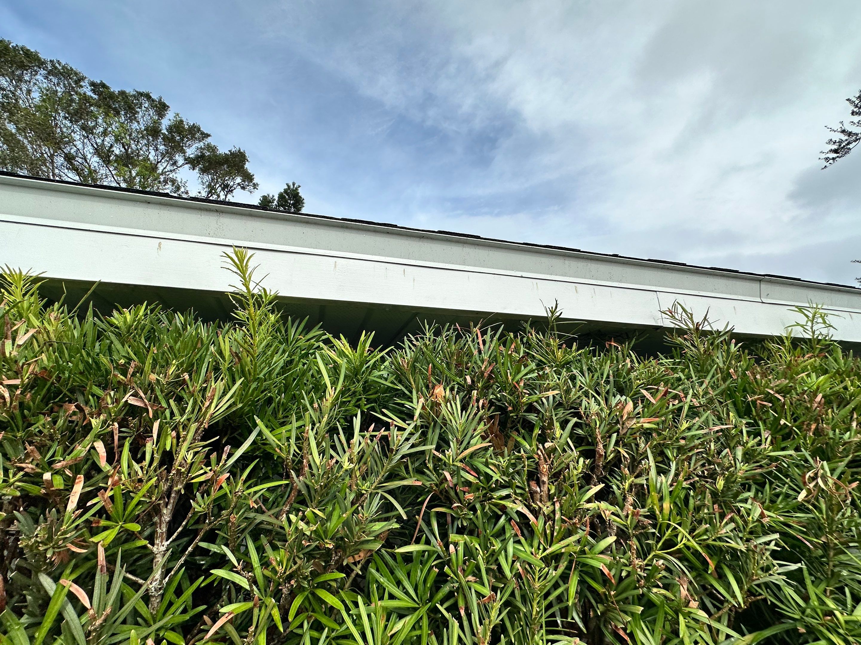 Install Vinyl Soffit in Sarasota FL by Gutter Professors