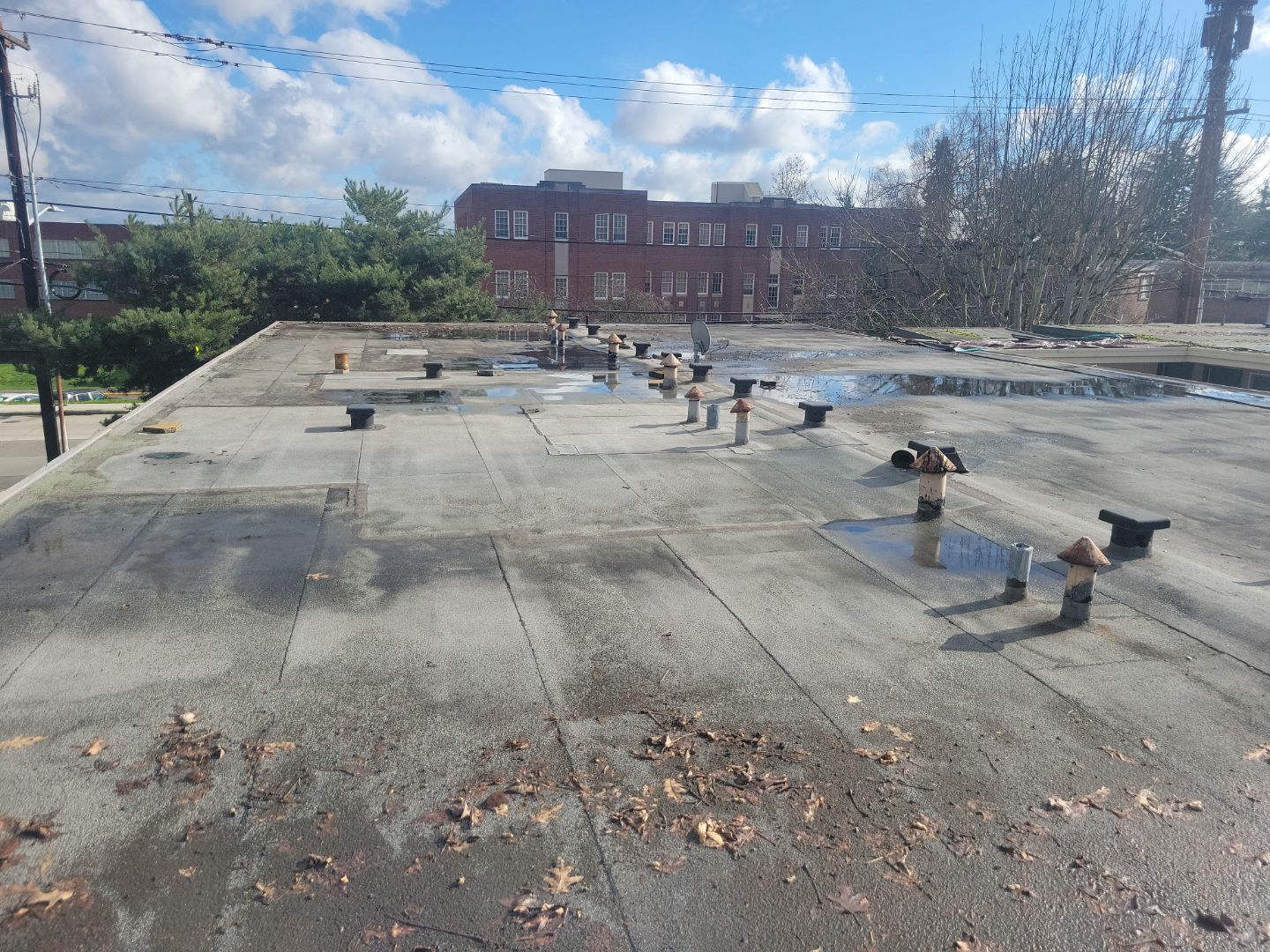 2024 Seattle Multi-Family Overlay by Alternative Roofing Systems Inc. 