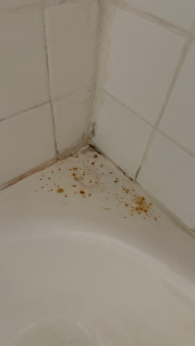 Project in Broomfield by Accountable Home Services