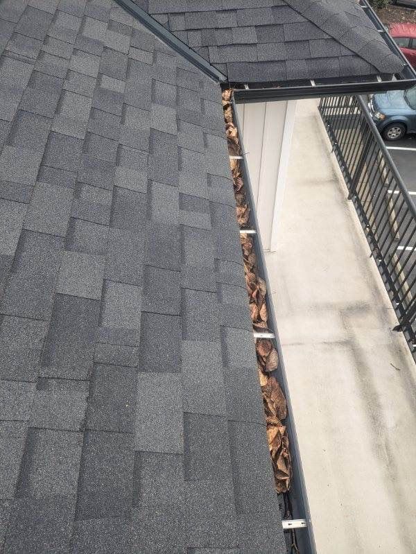 HOA gutter cleaning before photo