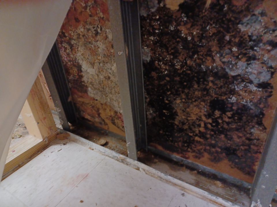 Project in Commerce Twp by EzDry Water Mitigation & Property Restoration