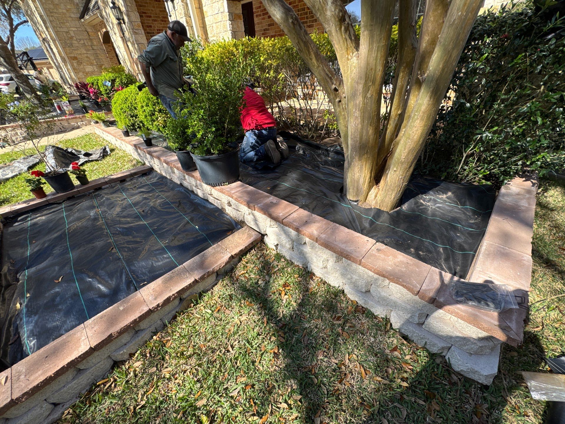 🌿 Mr. George – A True Curb Appeal Conversion by Texas Urban Elements