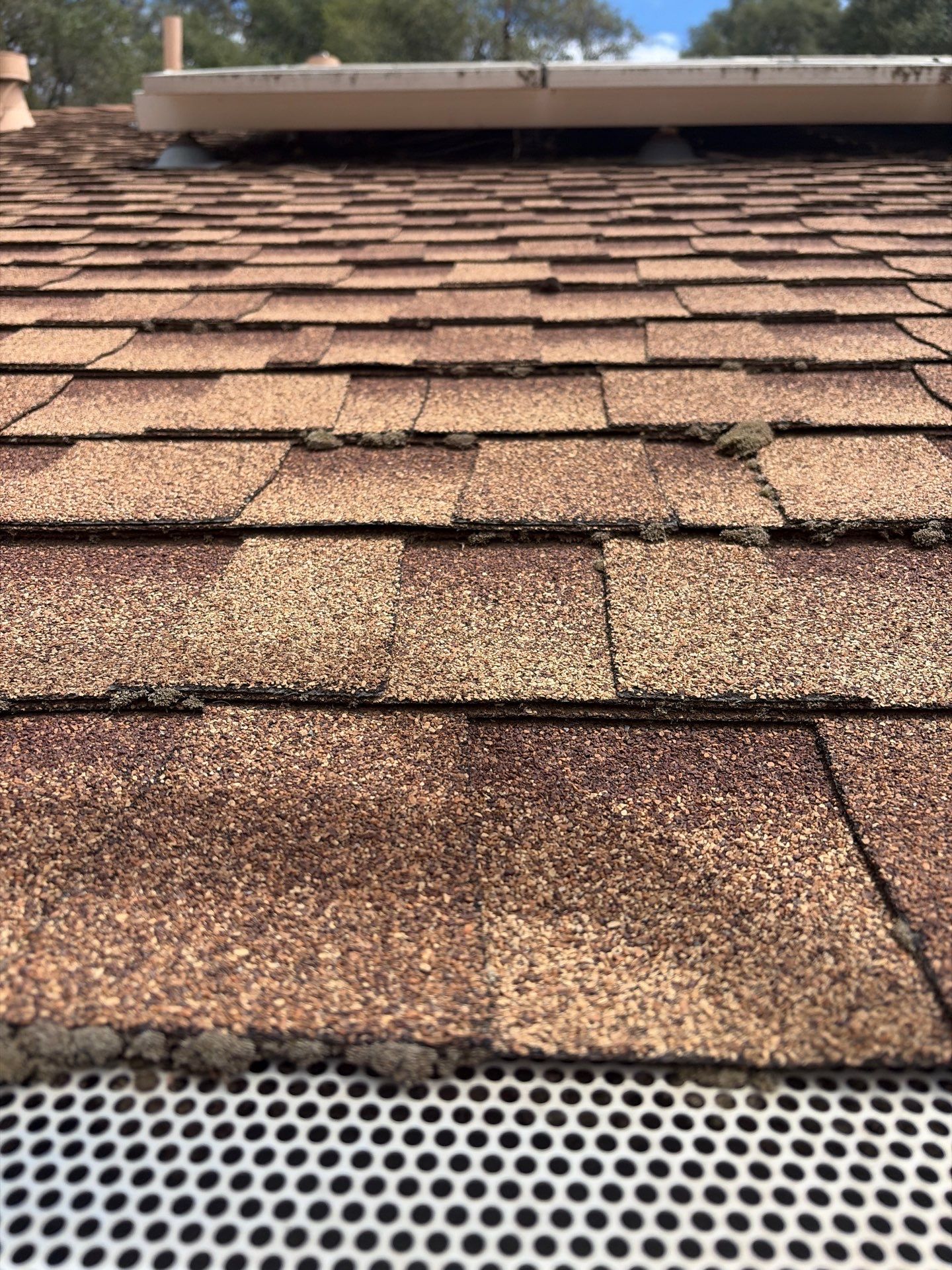 Roof Rejuvenation using Roof Maxx Treatment by Roof Maxx of Folsom