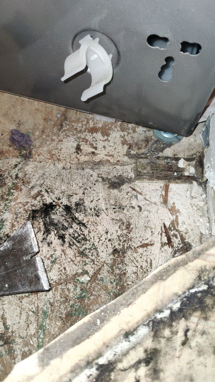 Water Damage  by Accountable Home Services