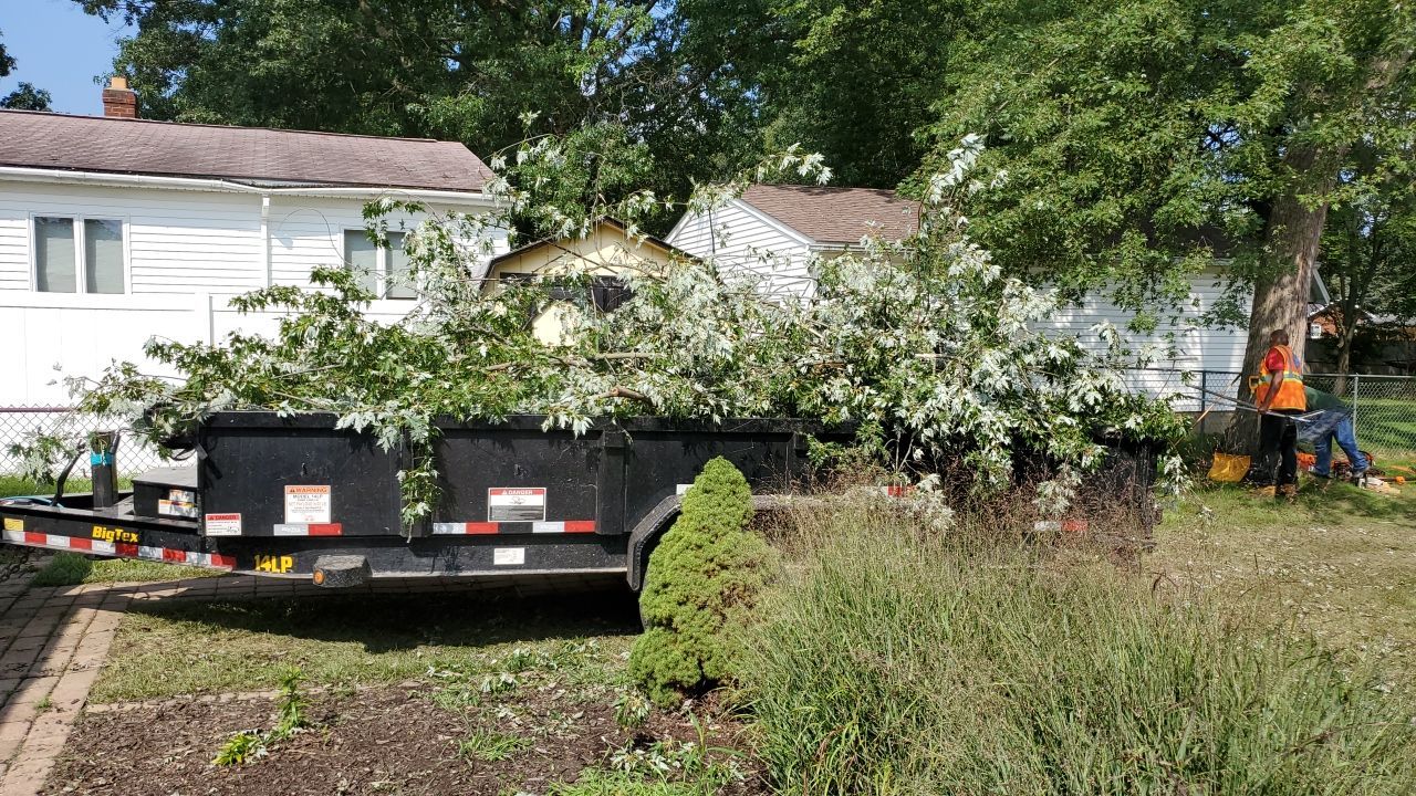 Tree Removal by Mike Jones & Sons Tree Service LLC 