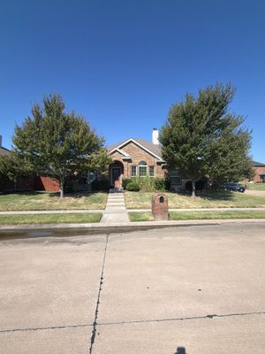 Residential Roof Leak Detection and Storm Damage Assessment in Royse City
