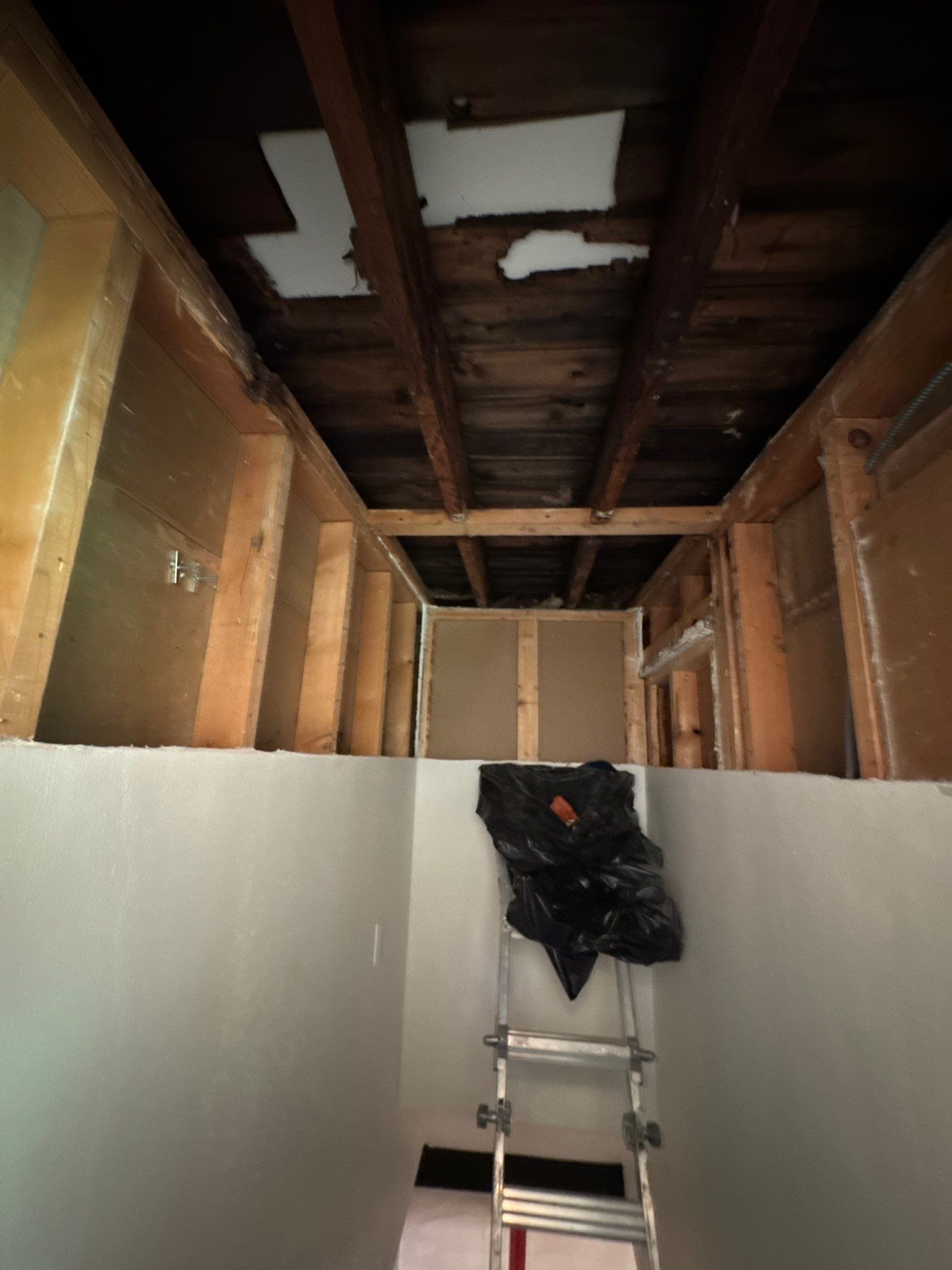 Mold Remediation in Menomonee Falls by Dry Source Property Restoration 