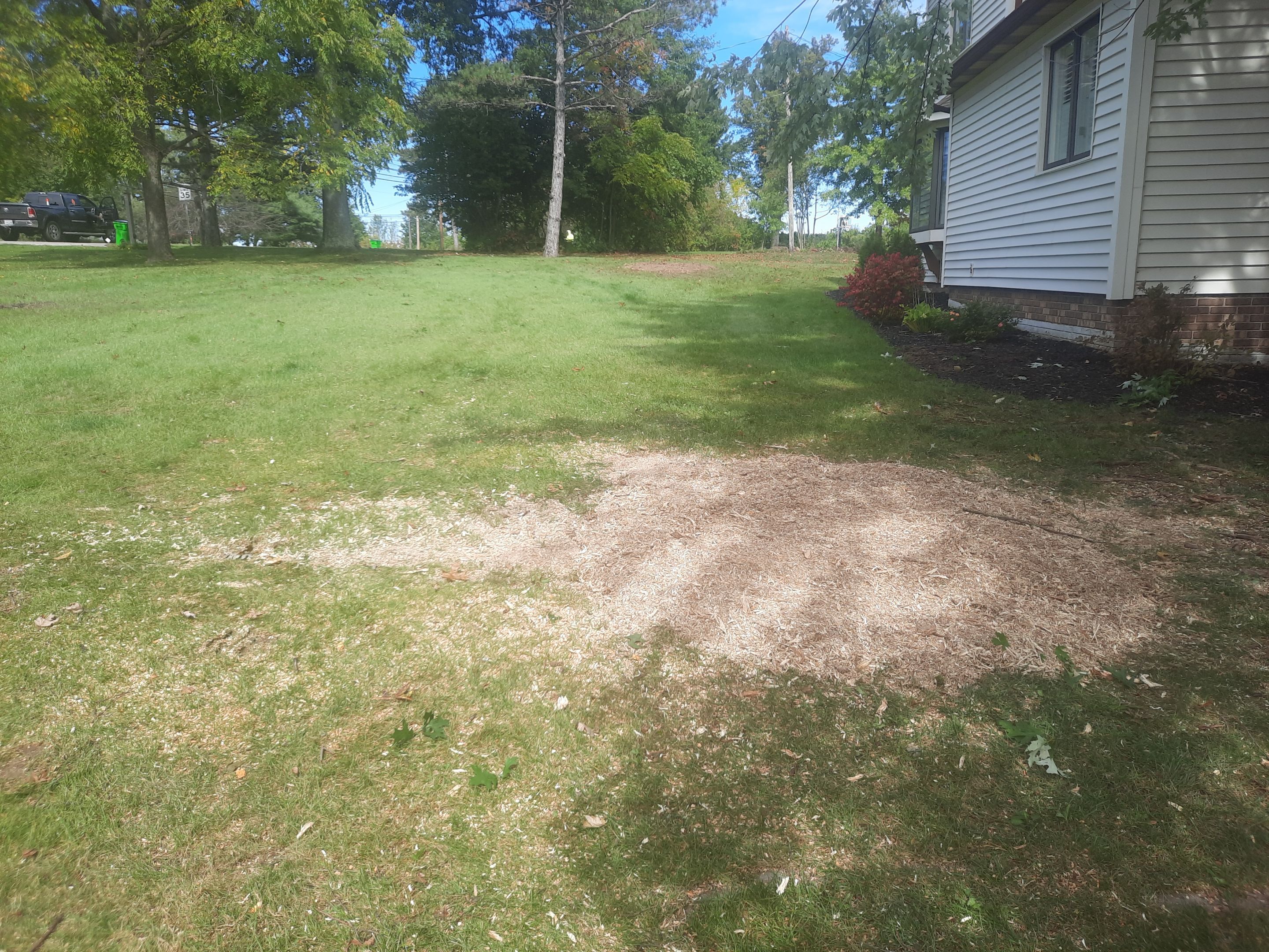 Tree Trimming using Tree Pruing by Mike Jones & Sons Tree Service LLC 