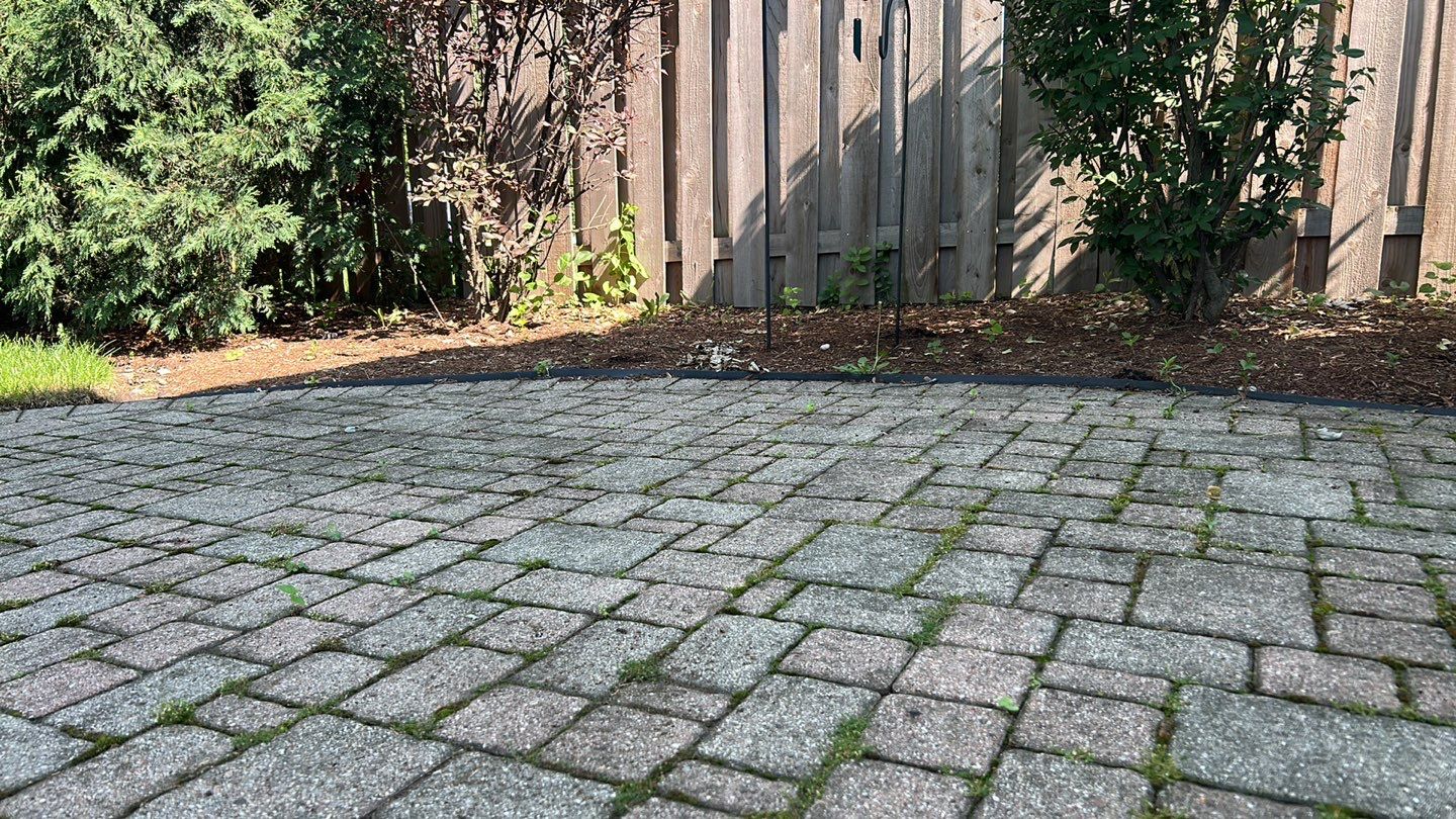 Brick paver clean, sand and seal. using Algaecide, soft wash soap by Northern Power Washing LLC.