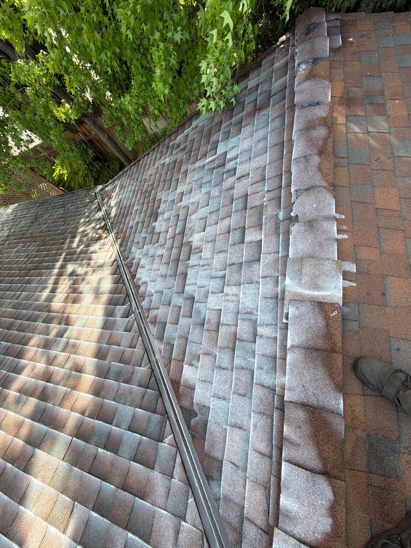Roof Rejuvenation using Roof Maxx Treatment by Roof Maxx of Folsom