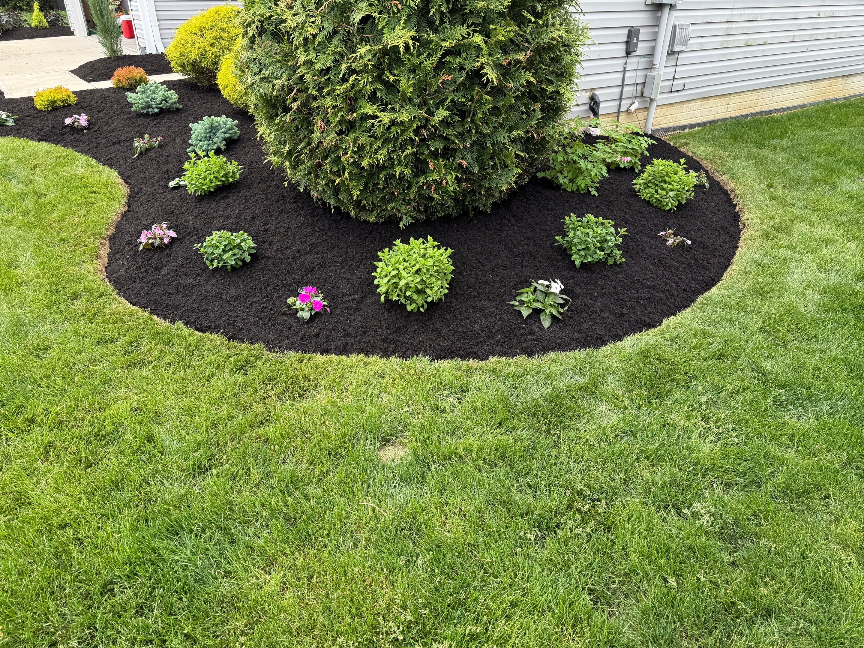 Chippewa Lake Project by Elm Rose Gardens