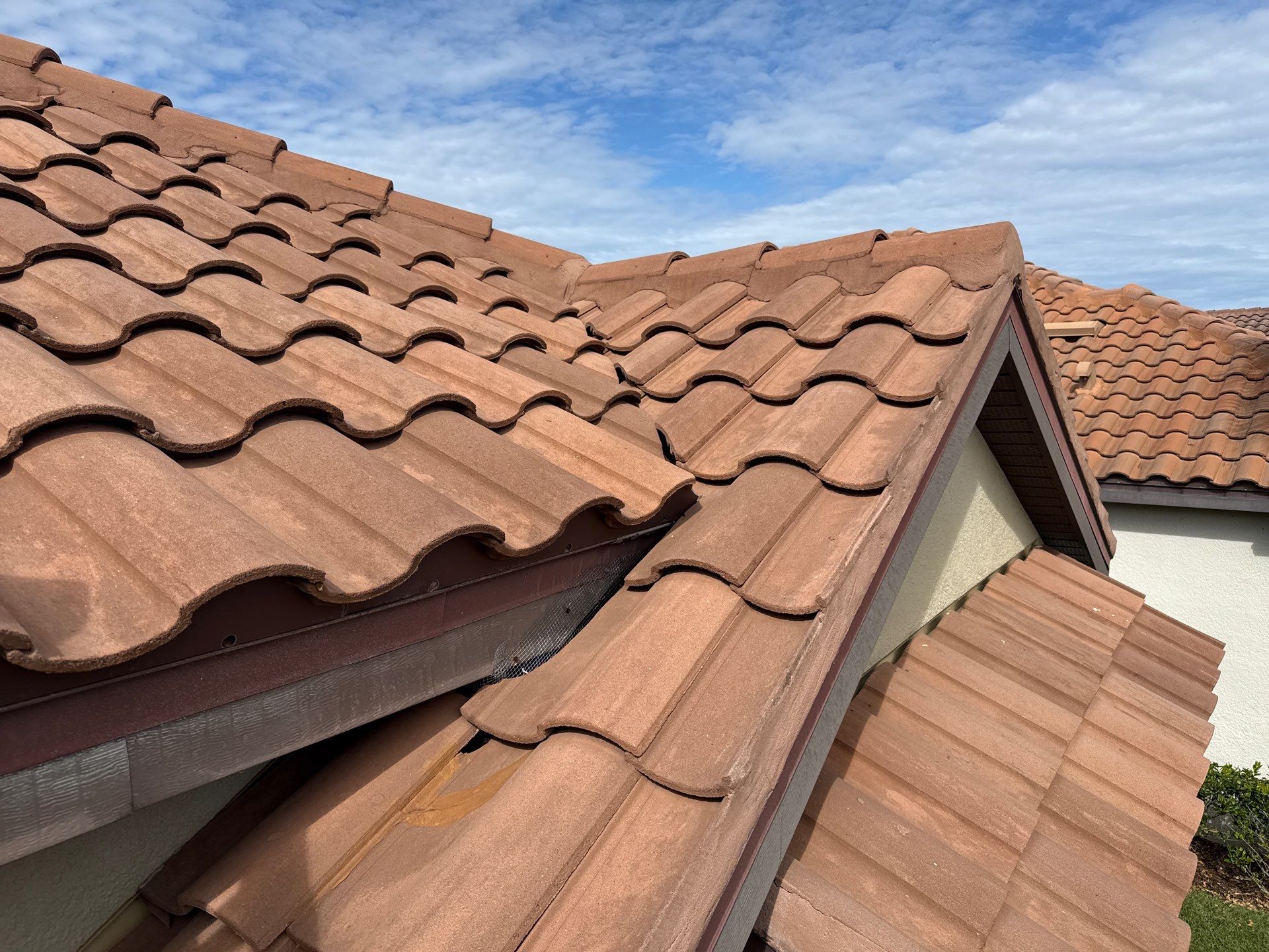 🌿 Tile Roof Cleaning in Lakewood Ranch — Safe for Plants & Tortoise-Friendly! 🐢✨ by Sunshine AquaWash