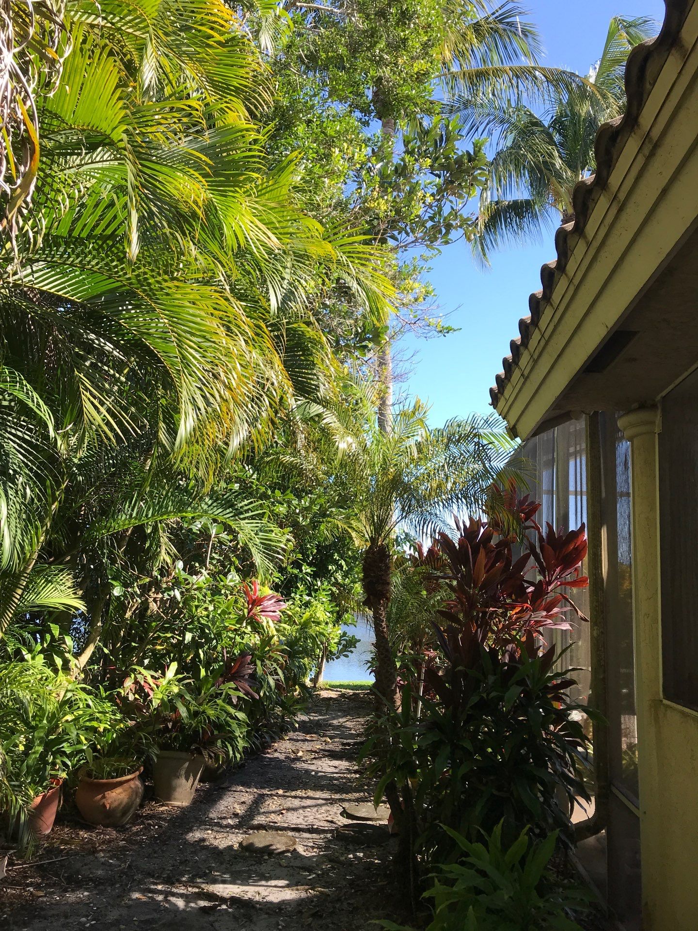 ✨ “Sweep, Spruce & Scoot!” ✨ by Alpha Zeta Enterprises Inc