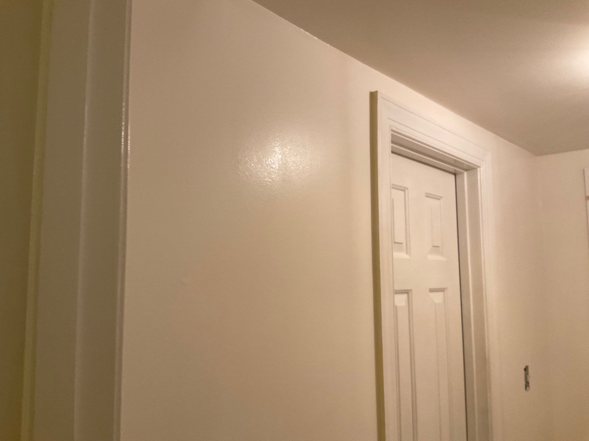 New Gutters, New Floor, New steps, New Paint job by Alpha Design Services