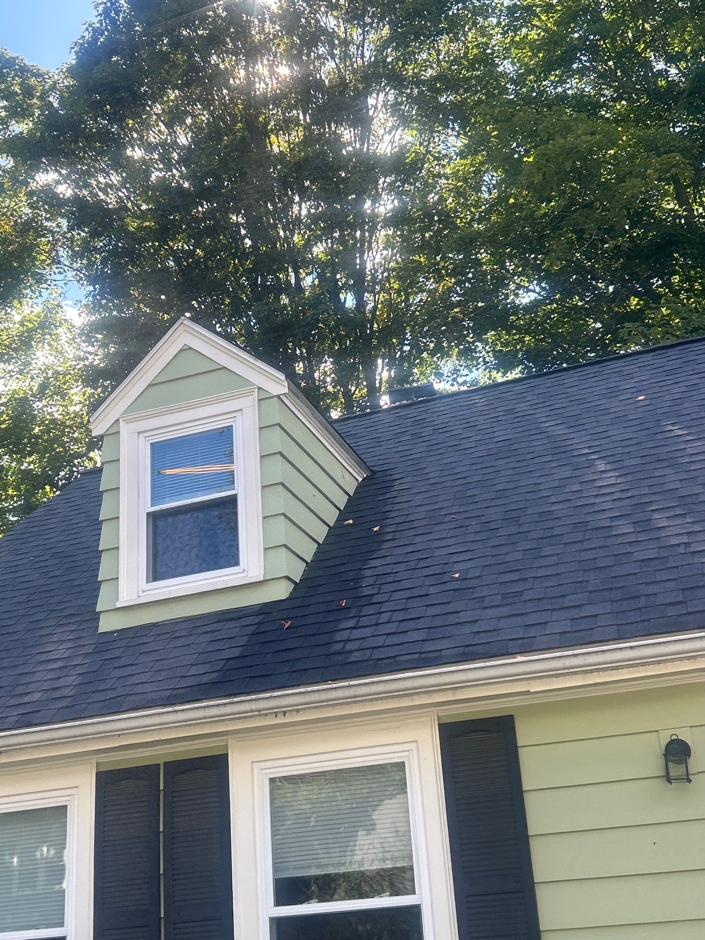 Roof Soft Wash & Gutter Cleaning – Maynard, MA by Mighty Dog Roofing of Greater Middlesex County