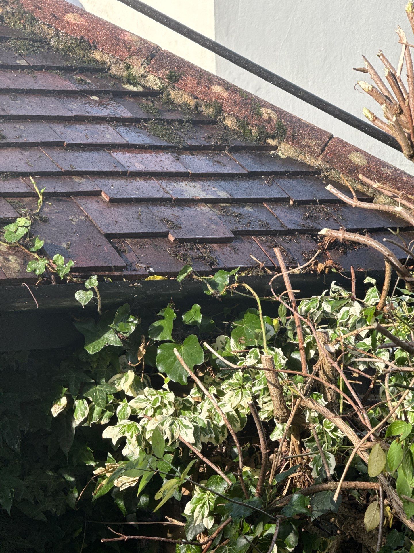 Roof - Driveway Clean -Patio Clean by Ges Exterior Cleaning ltd