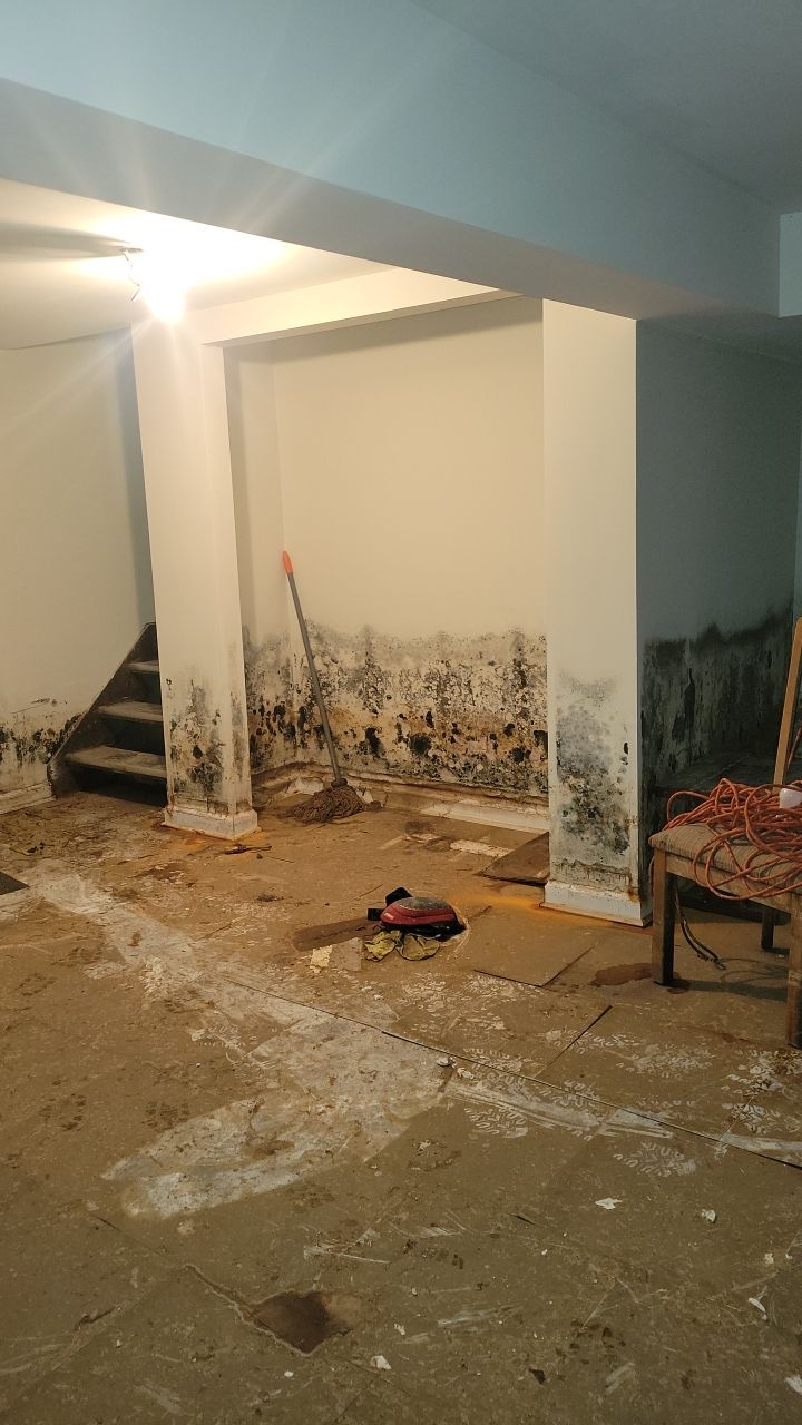 Grossly Contaminated Basement Mold by Chicagoland Water Medics