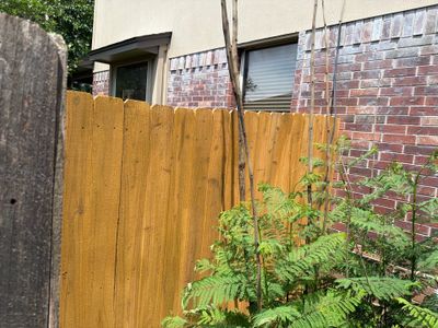 FRONT FENCE TRANSFORMATION!