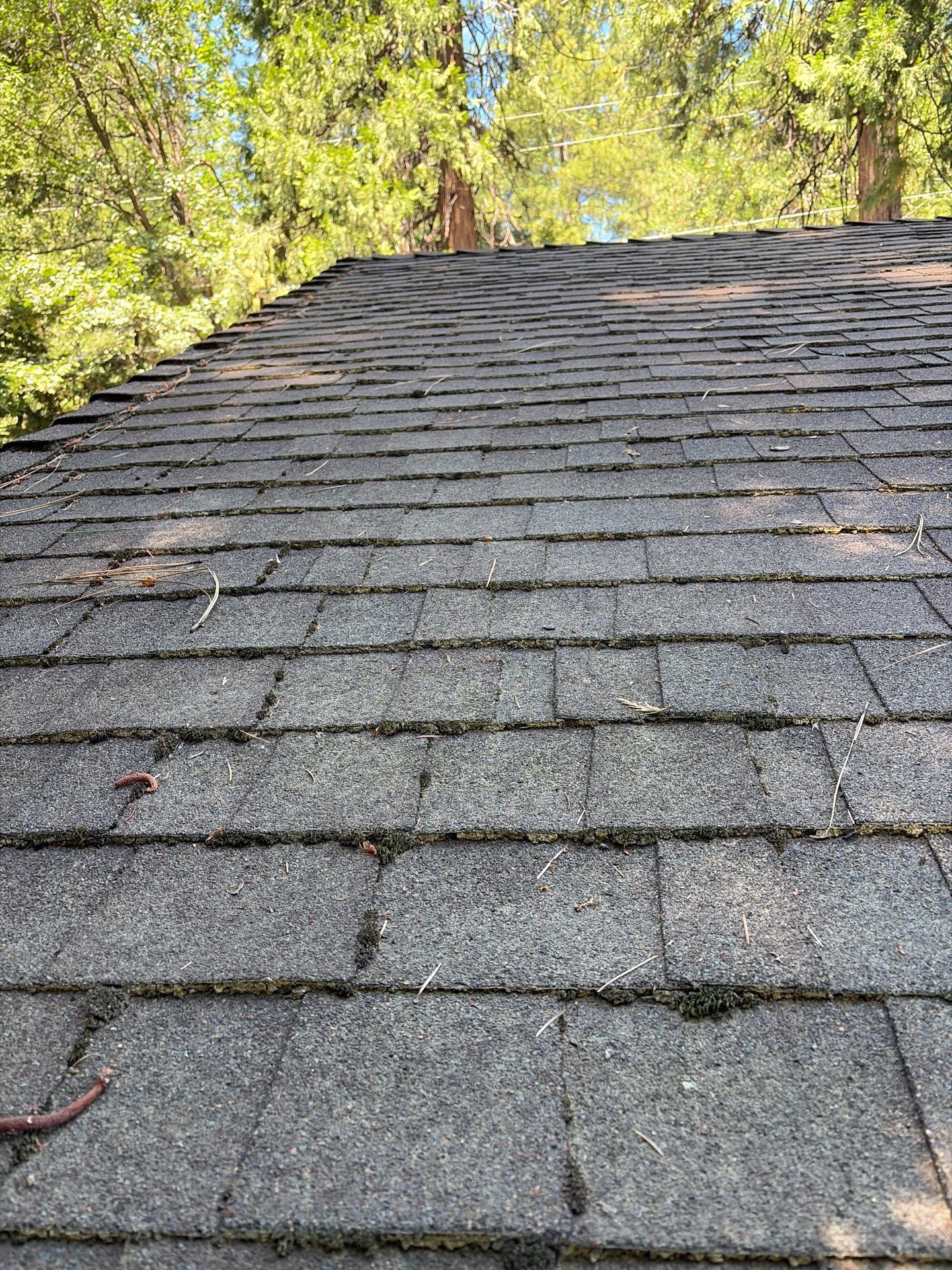 Roof Rejuvenation using Roof Maxx Treatment by Roof Maxx of Folsom