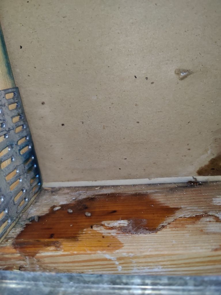 Water Damage by Accountable Home Services