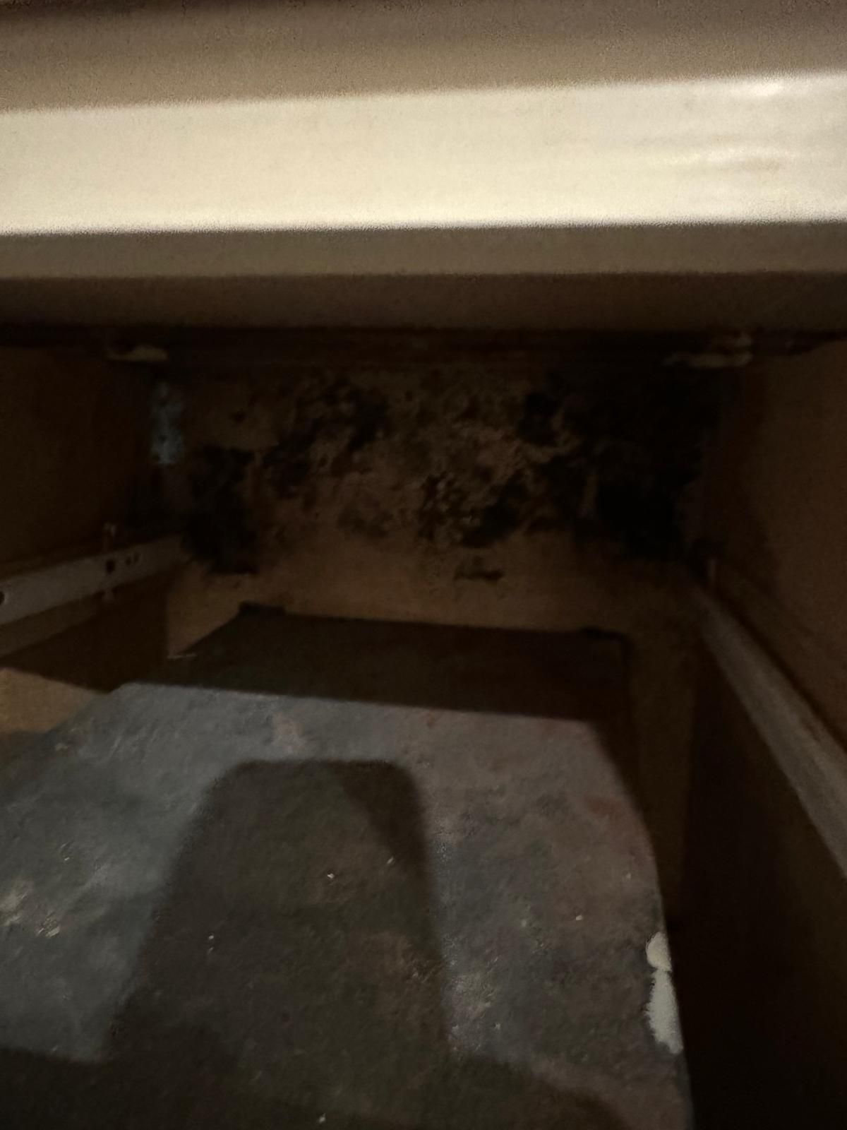 Interior French Drain Basking Ridge NJ by Pure Service Pro, LLC 