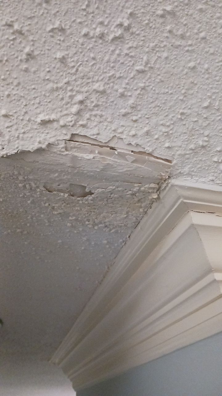 Little Neck, VA Beach by AKK Painting LLC